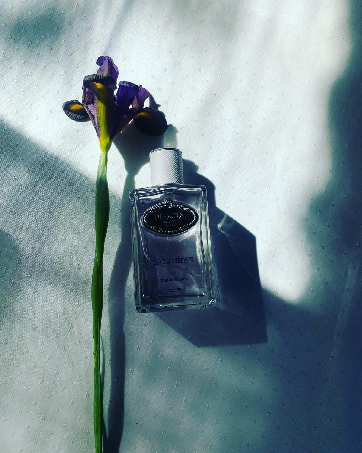 عطر ادکلن اینفیوژن دی آیریس سدره پِرادا - Infusion d'Iris Cèdre Prada - بررسی، قیمت و خرید