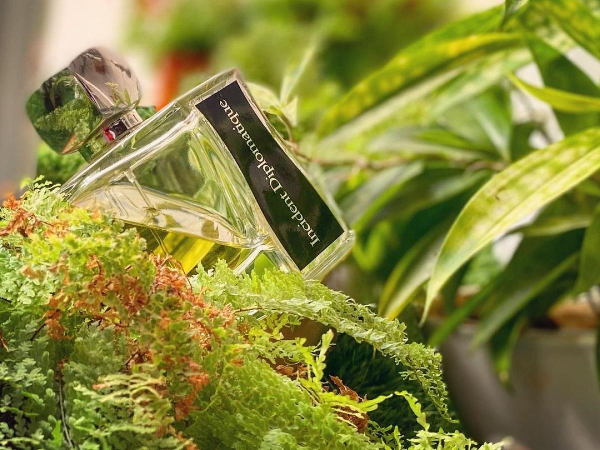 عطر ادکلن اینسی‌دنت دیپلماتیک ژووی پاریس - Incident Diplomatique Jovoy Paris - بررسی، قیمت و خرید