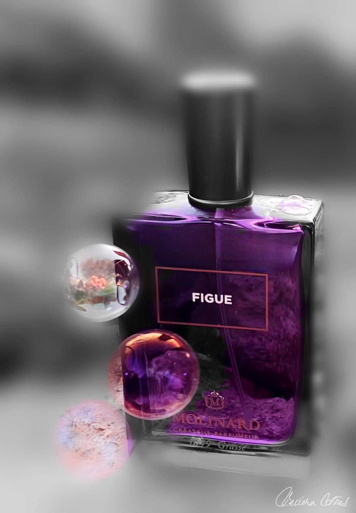 عطر ادکلن فیگو ادو پرفیوم مولینارد - Figue Eau de Parfum Molinard - بررسی، قیمت و خرید