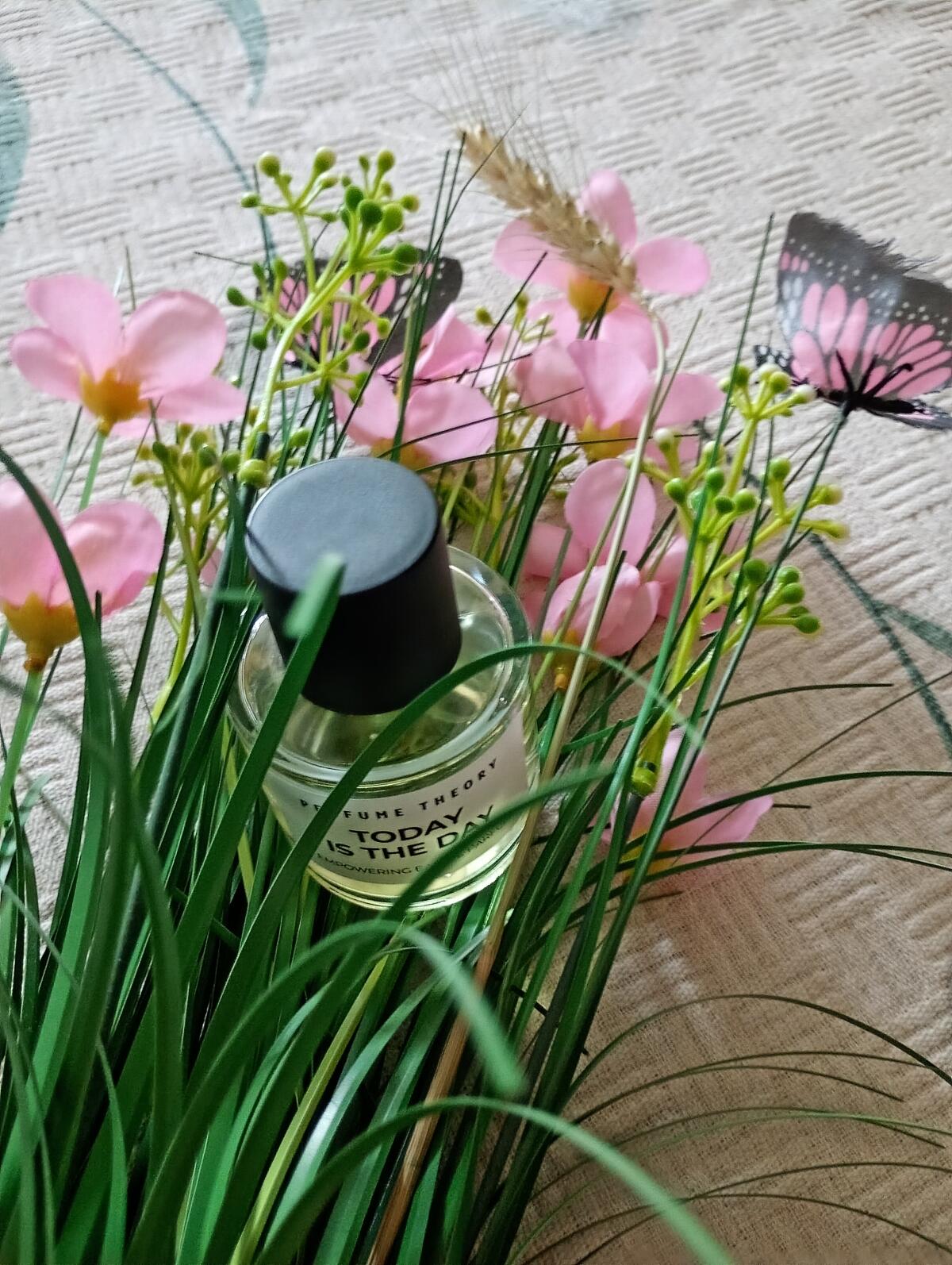عطر ادکلن تودِی ایز دِ دِی پرفیوم تئوری - Today is the Day Perfume Theory - بررسی، قیمت و خرید