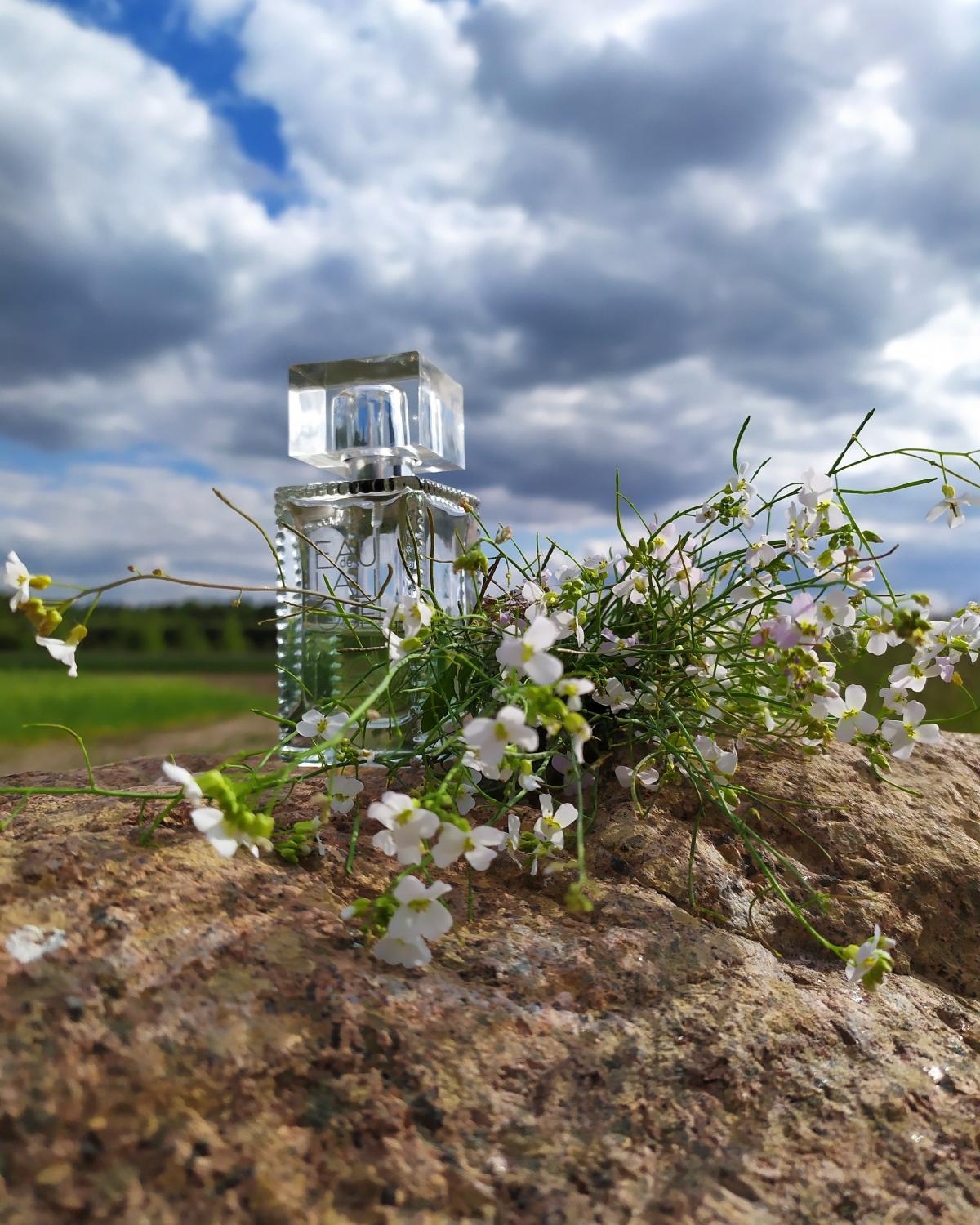 عطر ادکلن او دو للیک لالیک - Eau de Lalique Lalique - بررسی، قیمت و خرید