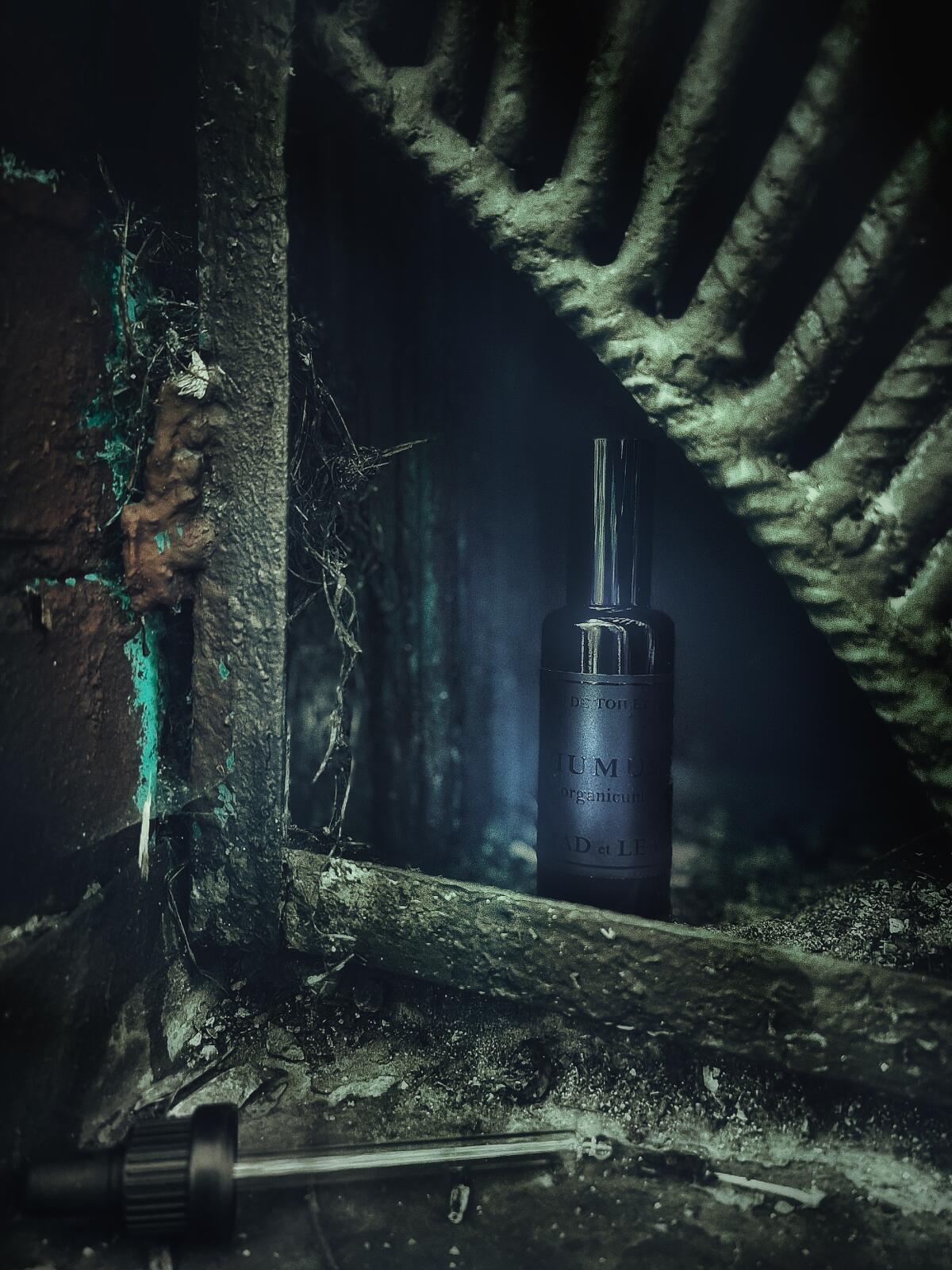 عطر ادکلن حموس مدلن - Humus Mad et Len - بررسی، قیمت و خرید