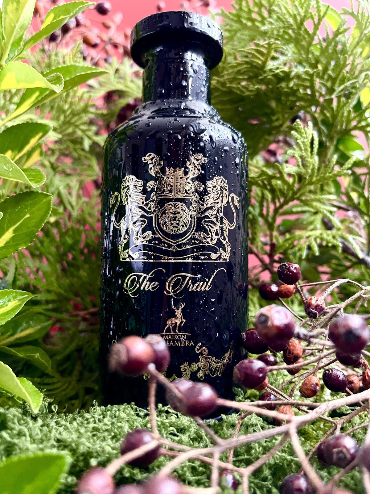 عطر ادکلن د تریل میزون الهمبرا - The Trail Maison Alhambra - بررسی، قیمت و خرید