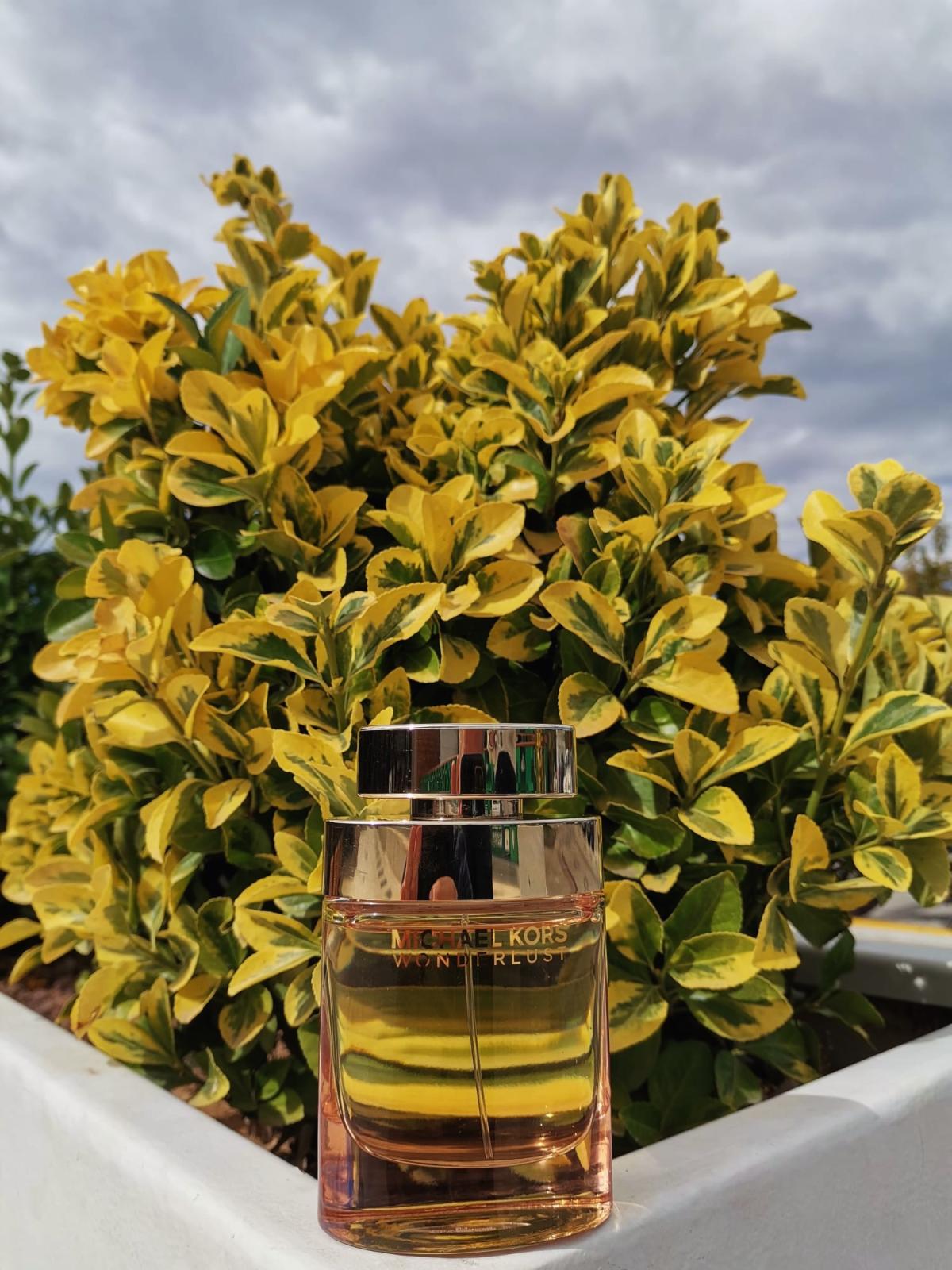 عطر ادکلن واندرلاست مایکل کُرس - Wonderlust Michael Kors - بررسی، قیمت و خرید