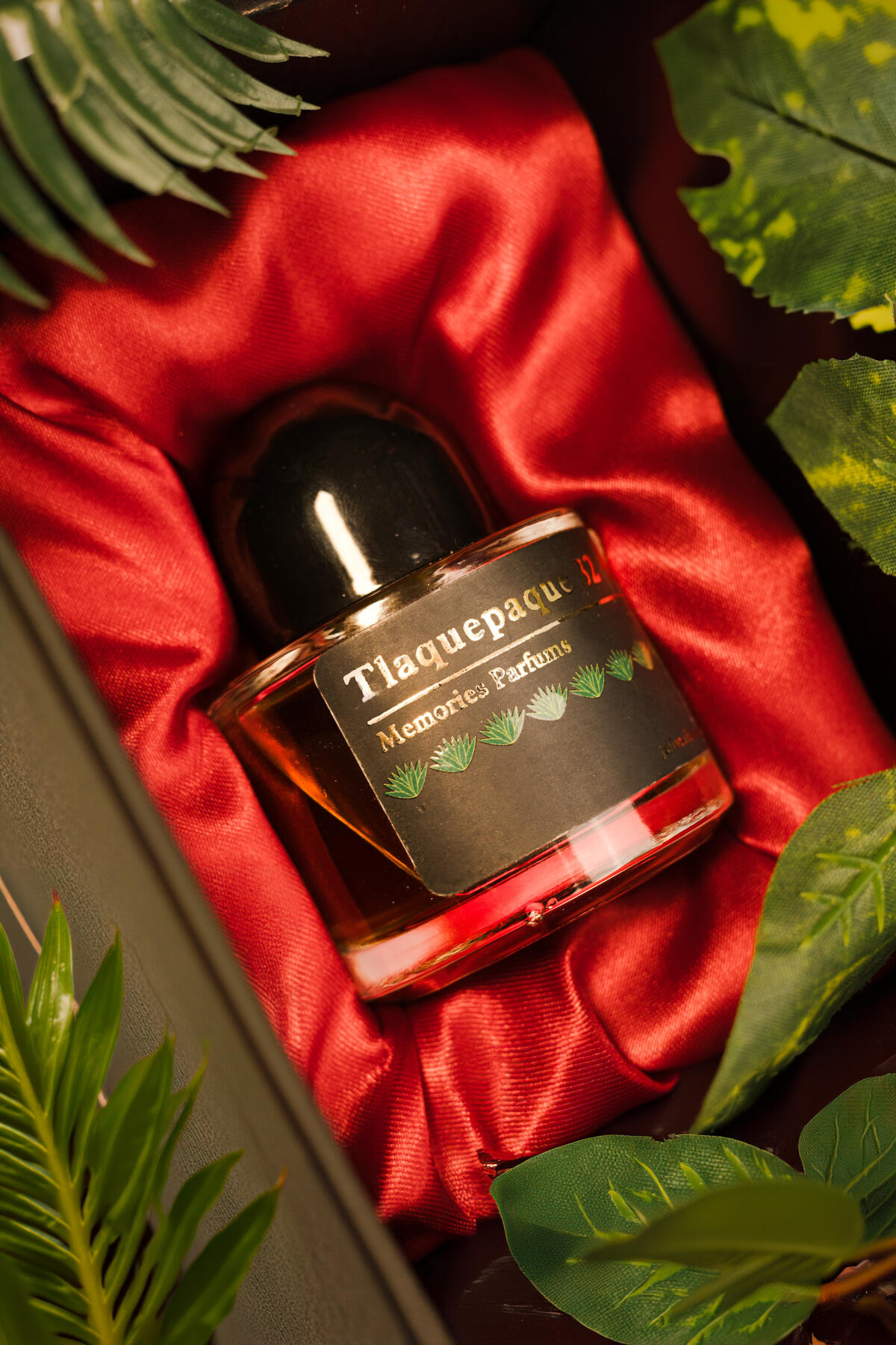 عطر ادکلن تلاکپاک ۳۲ مموریز پارفوم - Tlaquepaque 32 Memories Parfums - بررسی، قیمت و خرید
