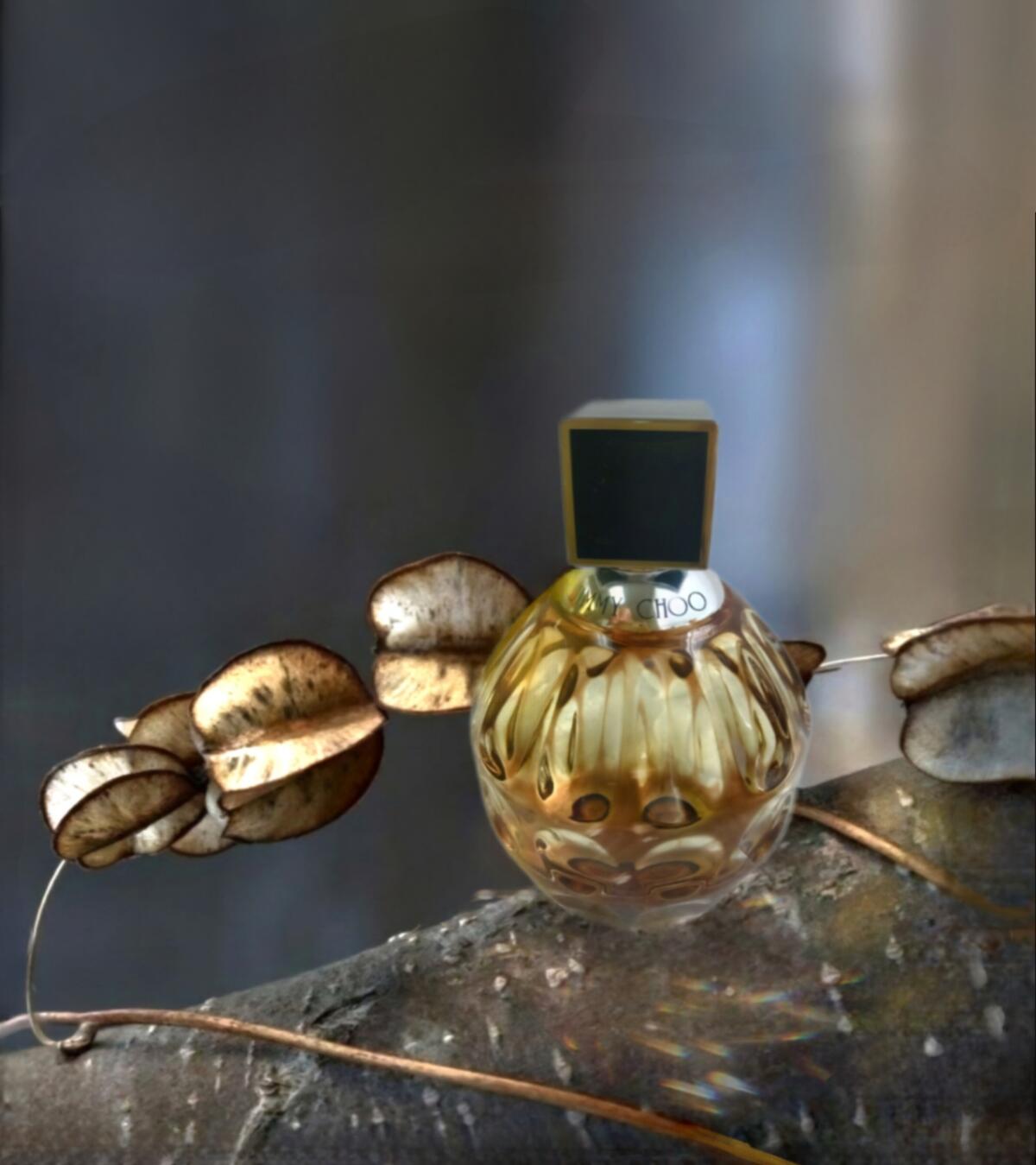 عطر ادکلن جیمی چو جیمی چو - Jimmy Choo Jimmy Choo - بررسی، قیمت و خرید