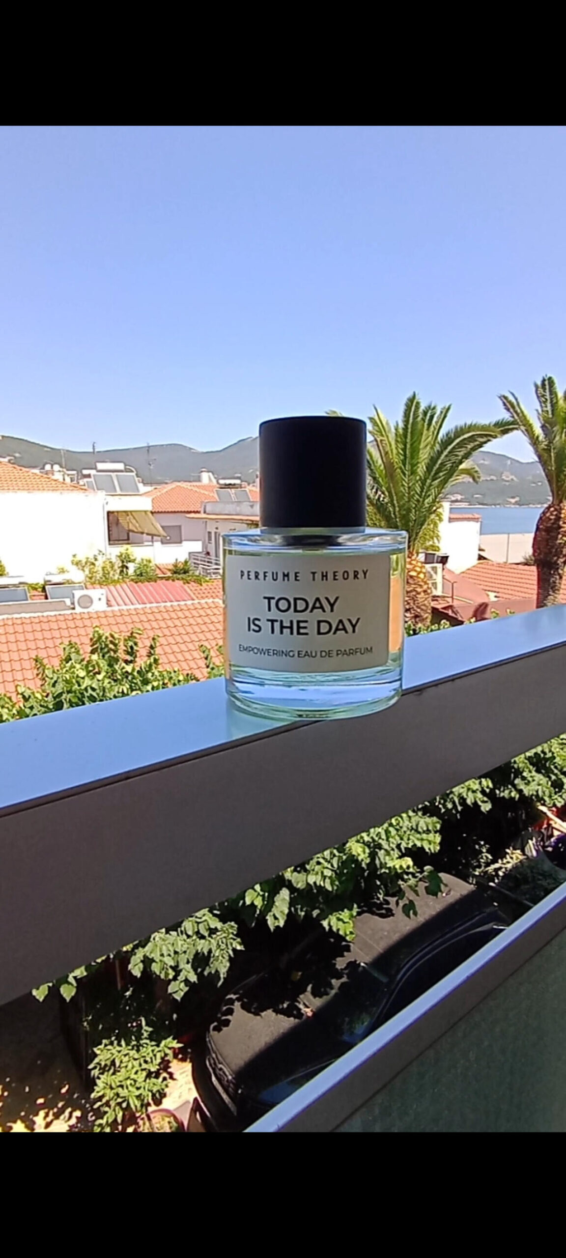 عطر ادکلن تودِی ایز دِ دِی پرفیوم تئوری - Today is the Day Perfume Theory - بررسی، قیمت و خرید