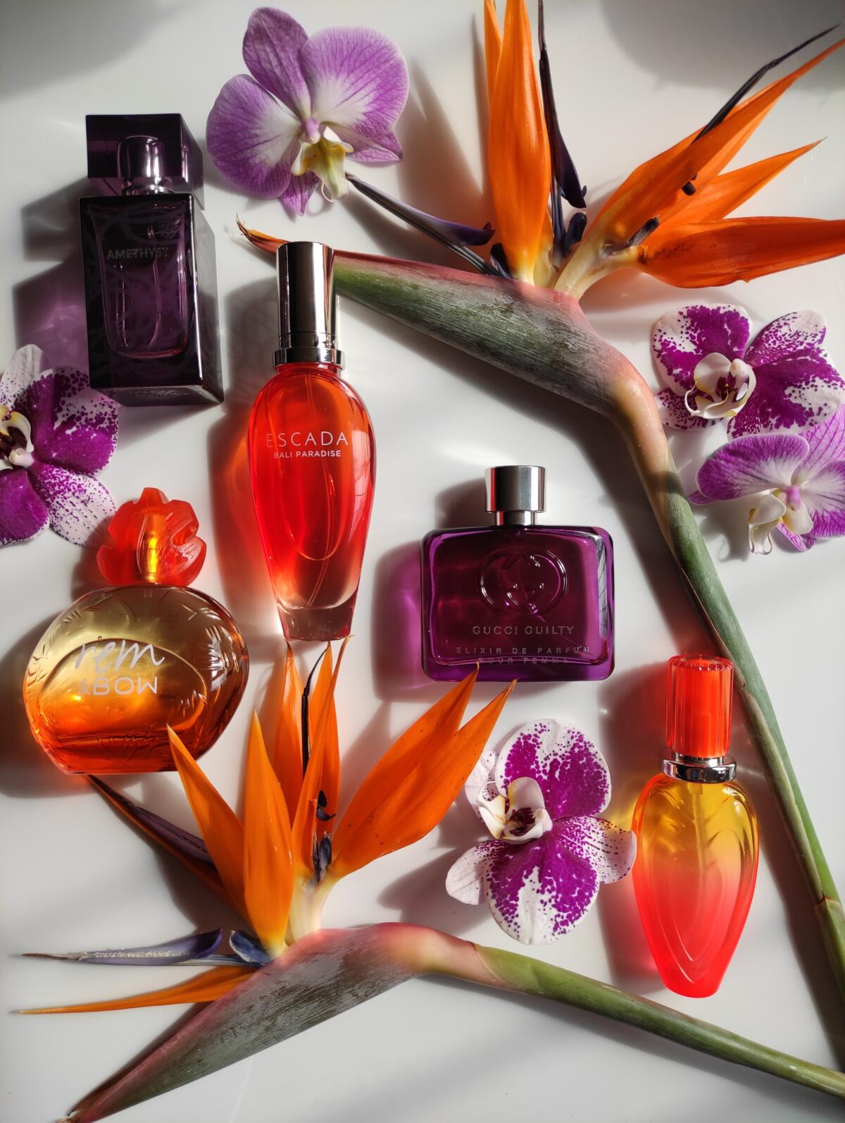 عطر ادکلن رم‌اند‌بو رِمینی‌سِنس - Rem & Bow Reminiscence - بررسی، قیمت و خرید