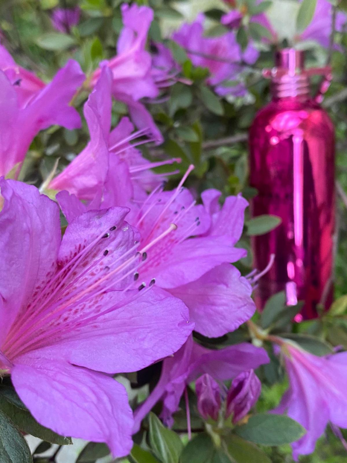 عطر ادکلن ولوت فلاورز مونتال - Velvet Flowers Montale - بررسی، قیمت و خرید
