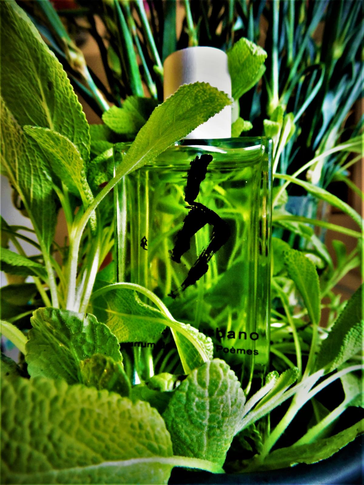 عطر ادکلن کریزولیت اولیویه دوربانو - Chrysolithe Olivier Durbano - بررسی، قیمت و خرید