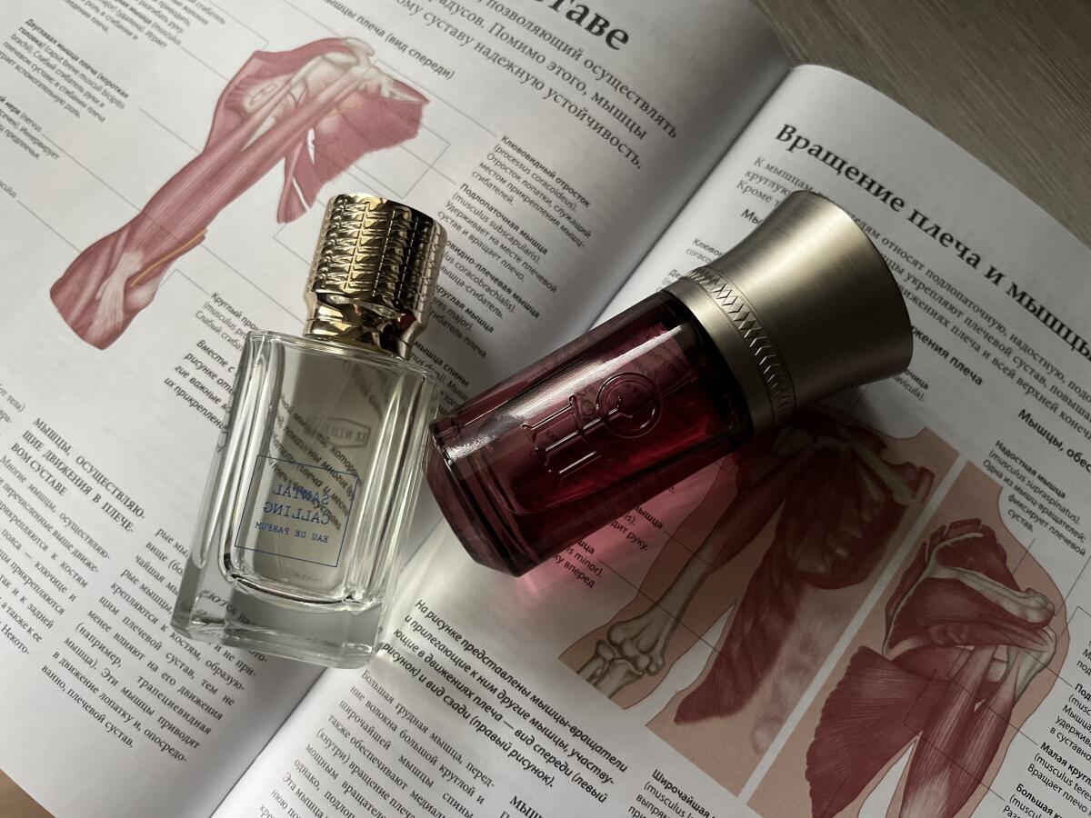 عطر ادکلن دام رُزا لس لیکوئیدز ایمجینرز - Dom Rosa Les Liquides Imaginaires - بررسی، قیمت و خرید