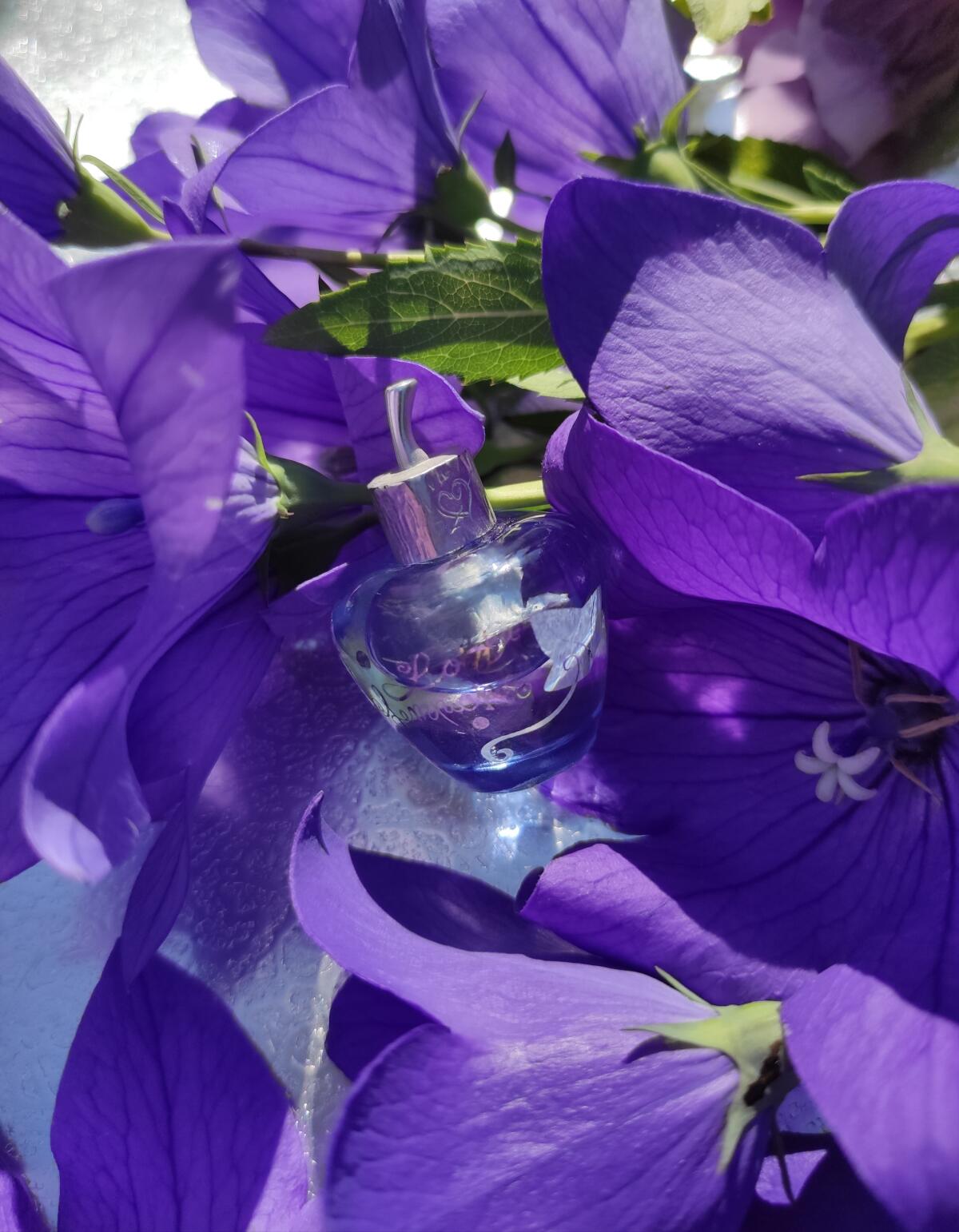 عطر ادکلن لولیتا لمپیکا ادو تویلت لولیتا لمپیکا - Lolita Lempicka Eau de Toilette Lolita Lempicka - بررسی، قیمت و خرید