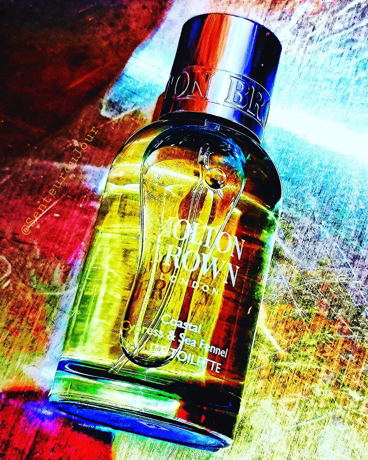 عطر ادکلن کوستال سایپرس اند سی فنل مولتون براون - Coastal Cypress & Sea Fennel Molton Brown - بررسی، قیمت و خرید