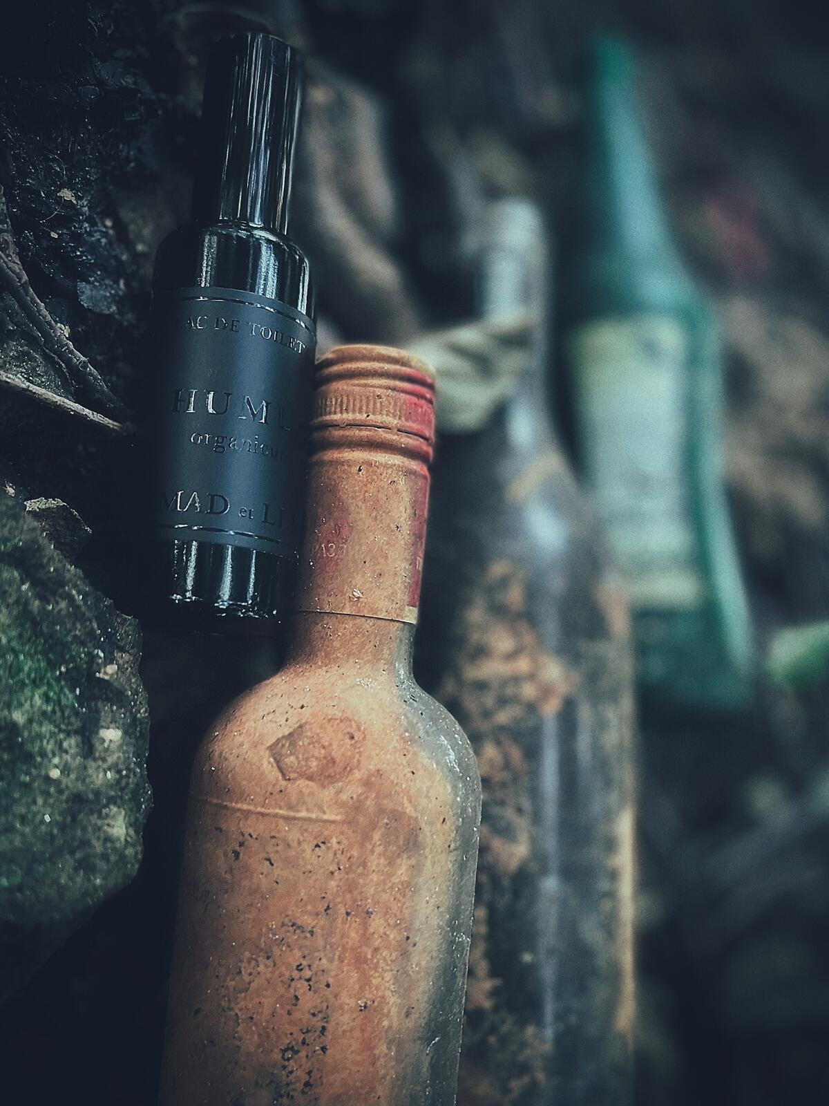 عطر ادکلن حموس مدلن - Humus Mad et Len - بررسی، قیمت و خرید