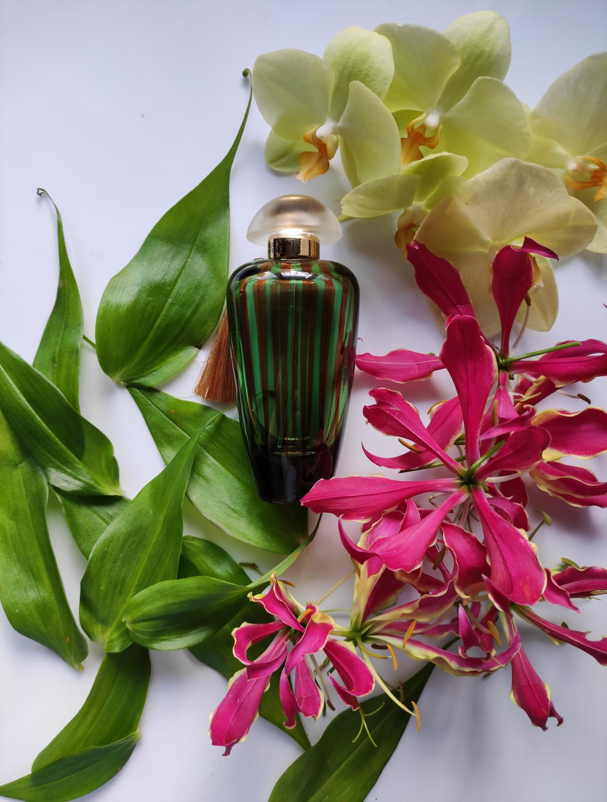 عطر ادکلن ایژین اینسپیریشن د مرچنت آو ونیز - Asian Inspiration The Merchant of Venice - بررسی، قیمت و خرید