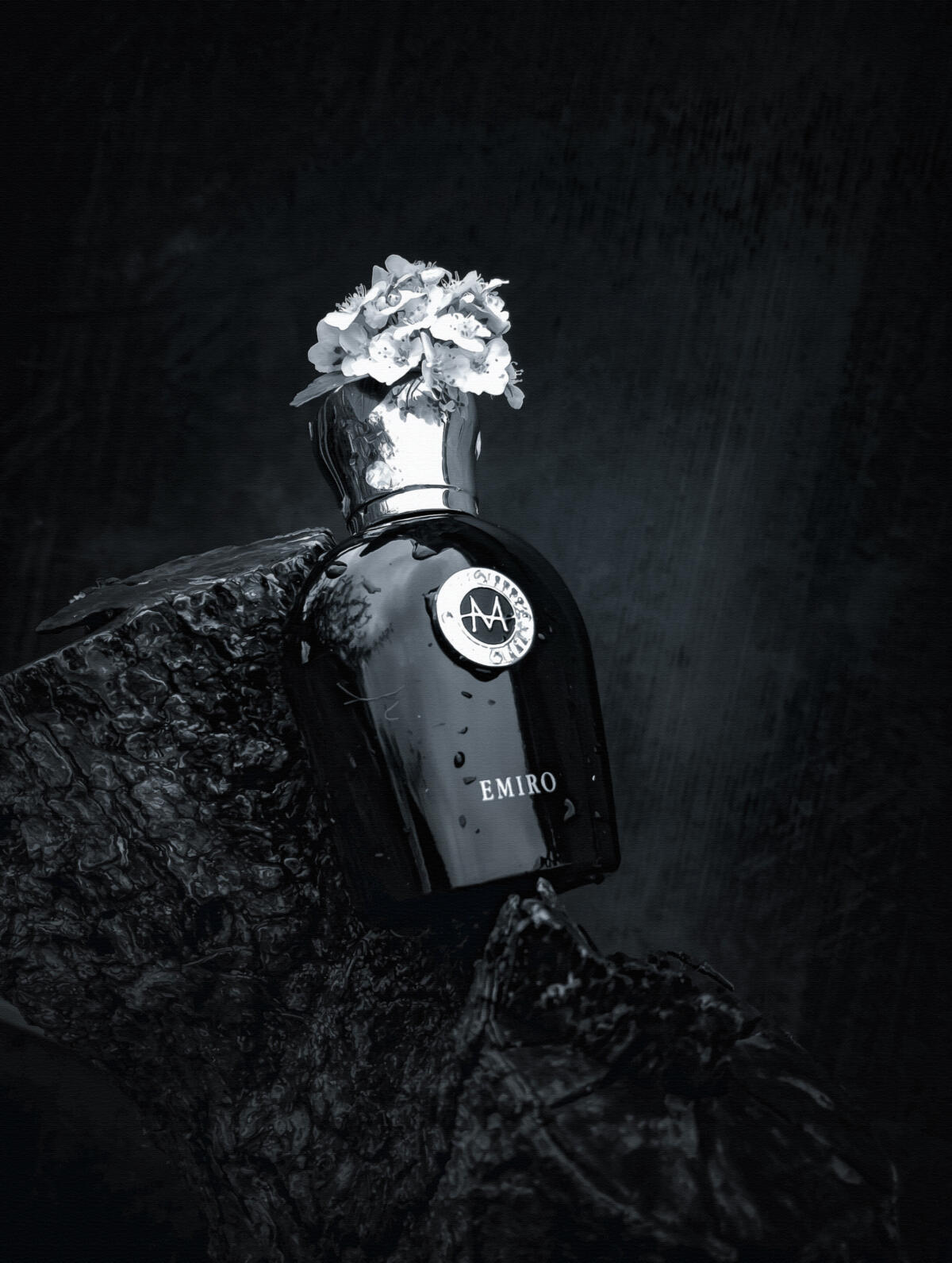 عطر ادکلن ایمیرو مورِسک - Emiro Moresque - بررسی، قیمت و خرید