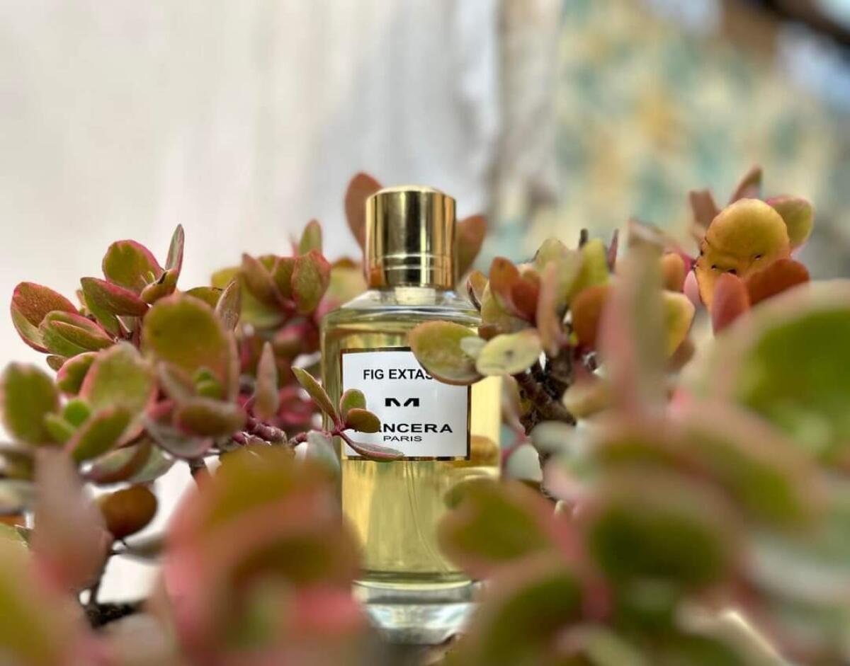 عطر ادکلن فیگ اکسستی مانسرا - Fig Extasy Mancera - بررسی، قیمت و خرید