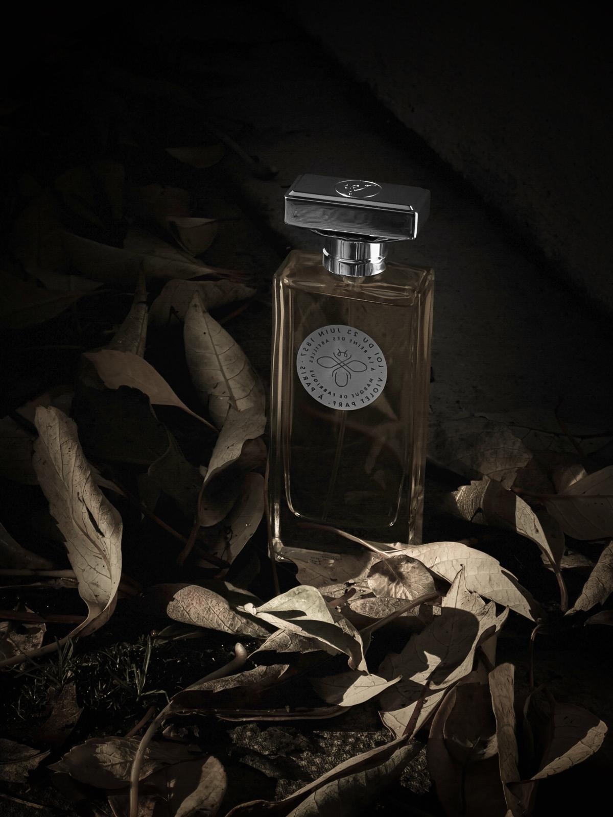 عطر ادکلن اسکچ مَیزون ویوله - Sketch Maison Violet - بررسی، قیمت و خرید