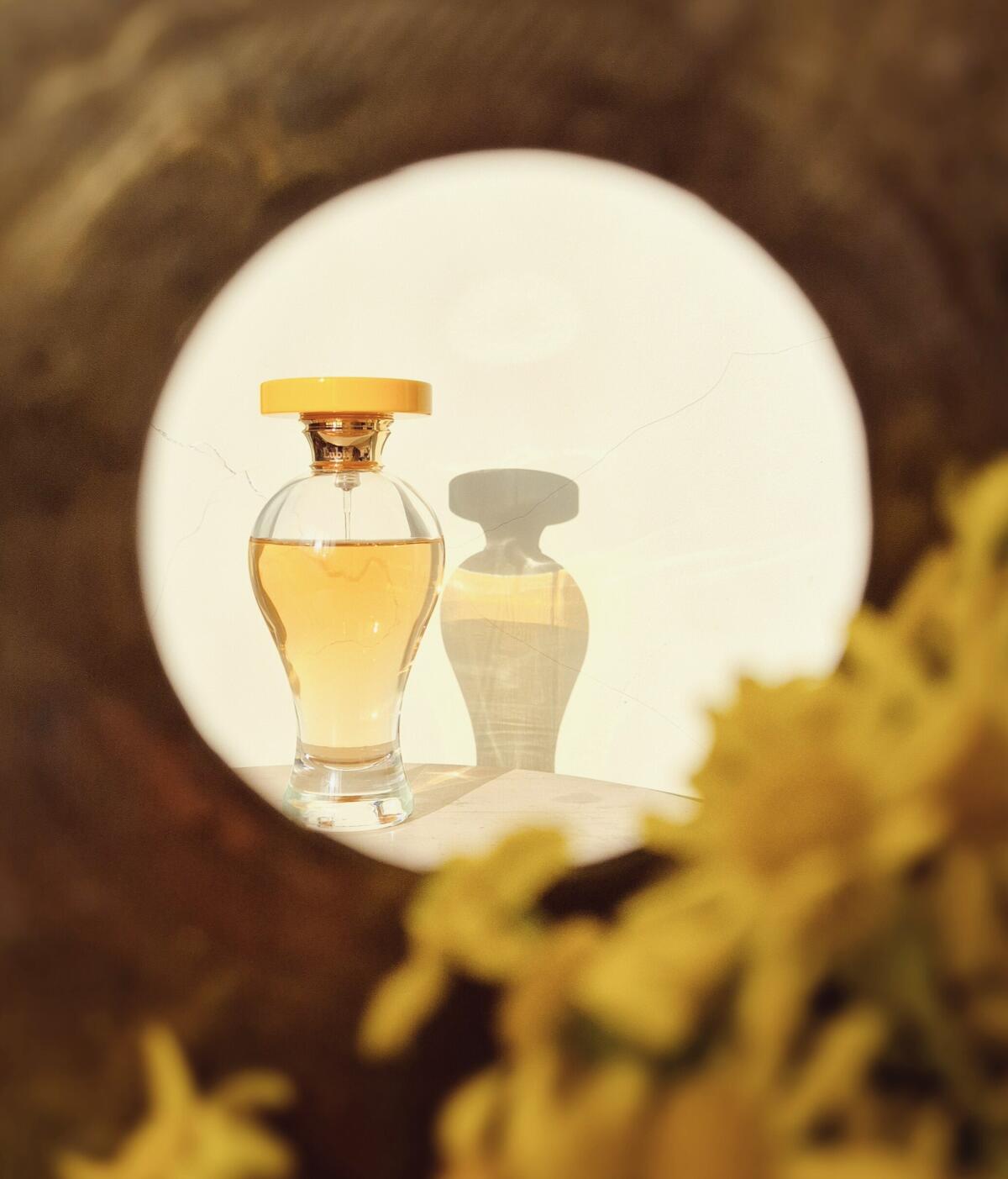 عطر ادکلن اپیدور لوبین - Epidor Lubin - بررسی، قیمت و خرید