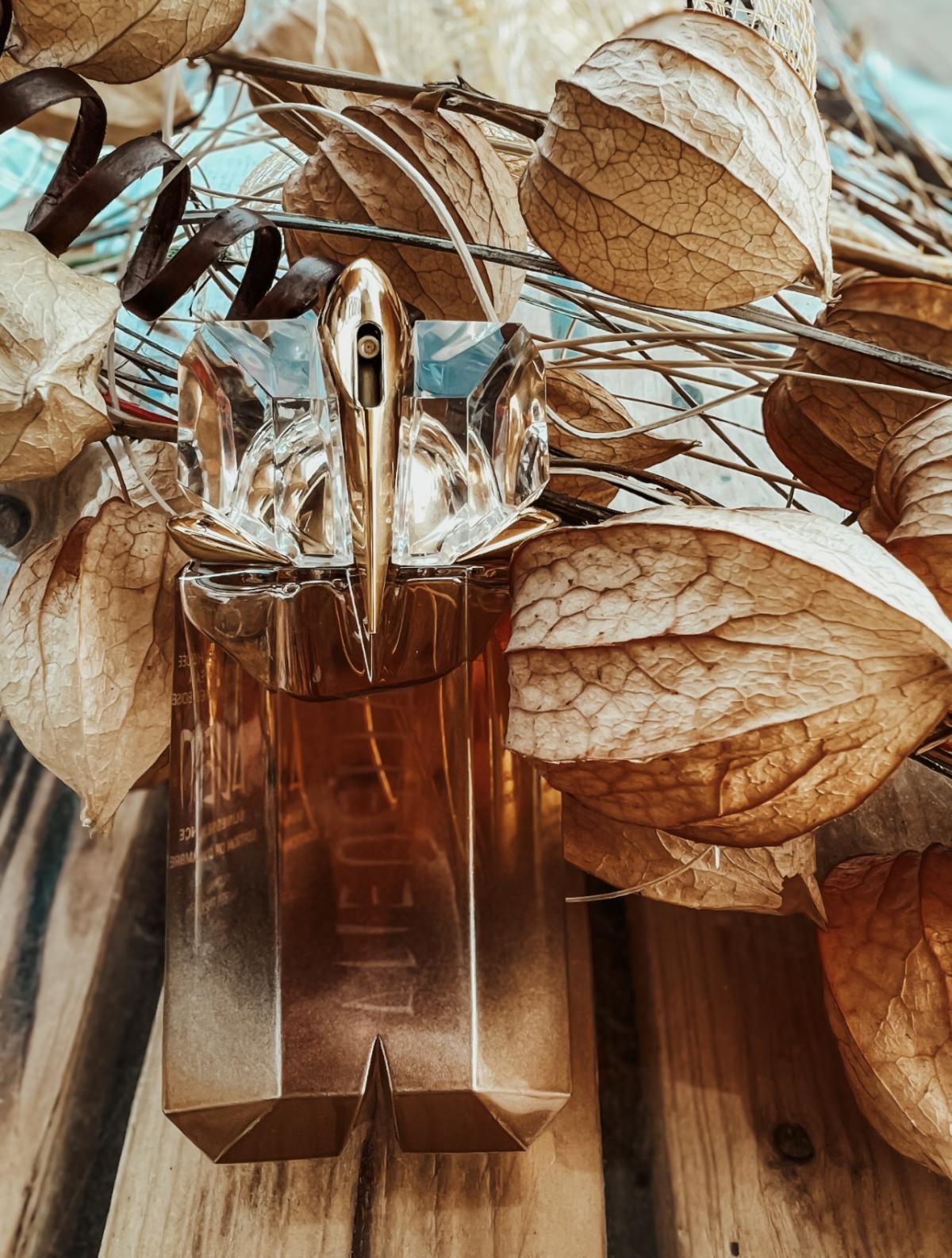 عطر ادکلن الین سانسنس ادیشن لیمیتد ۲۰۱۱ اور دامبر موگلر - Alien Sunessence Edition Limitee 2011 Or d'Ambre Mugler - بررسی، قیمت و خرید