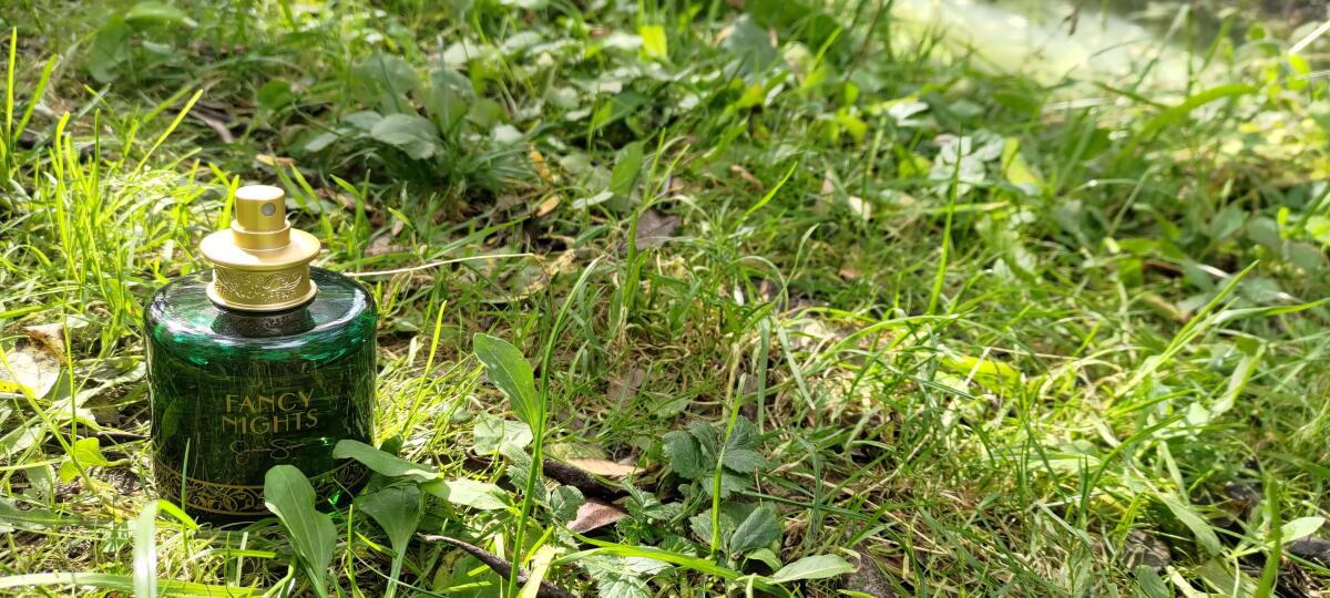 عطر ادکلن فَنسی نایتس جسیکا سیمپسون - Fancy Nights Jessica Simpson - بررسی، قیمت و خرید