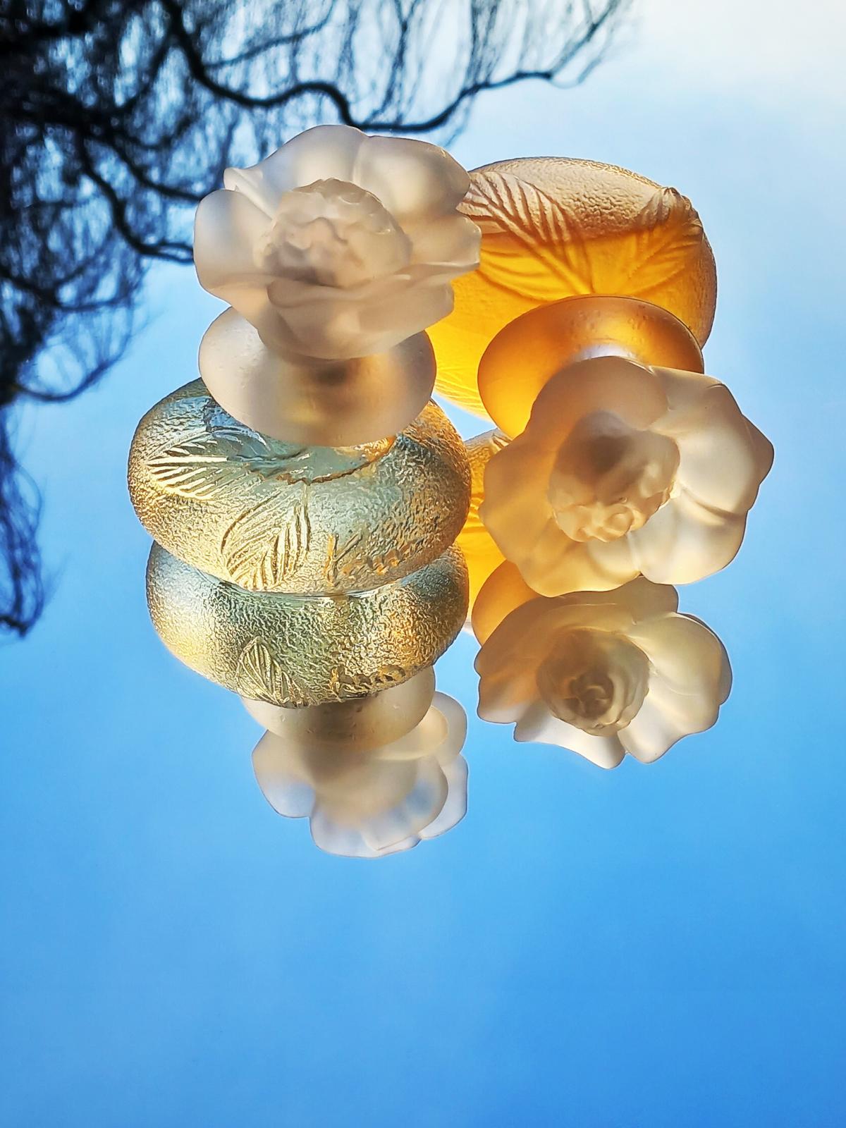 عطر ادکلن سا سن بو کنزو - Ça Sent Beau Kenzo - بررسی، قیمت و خرید