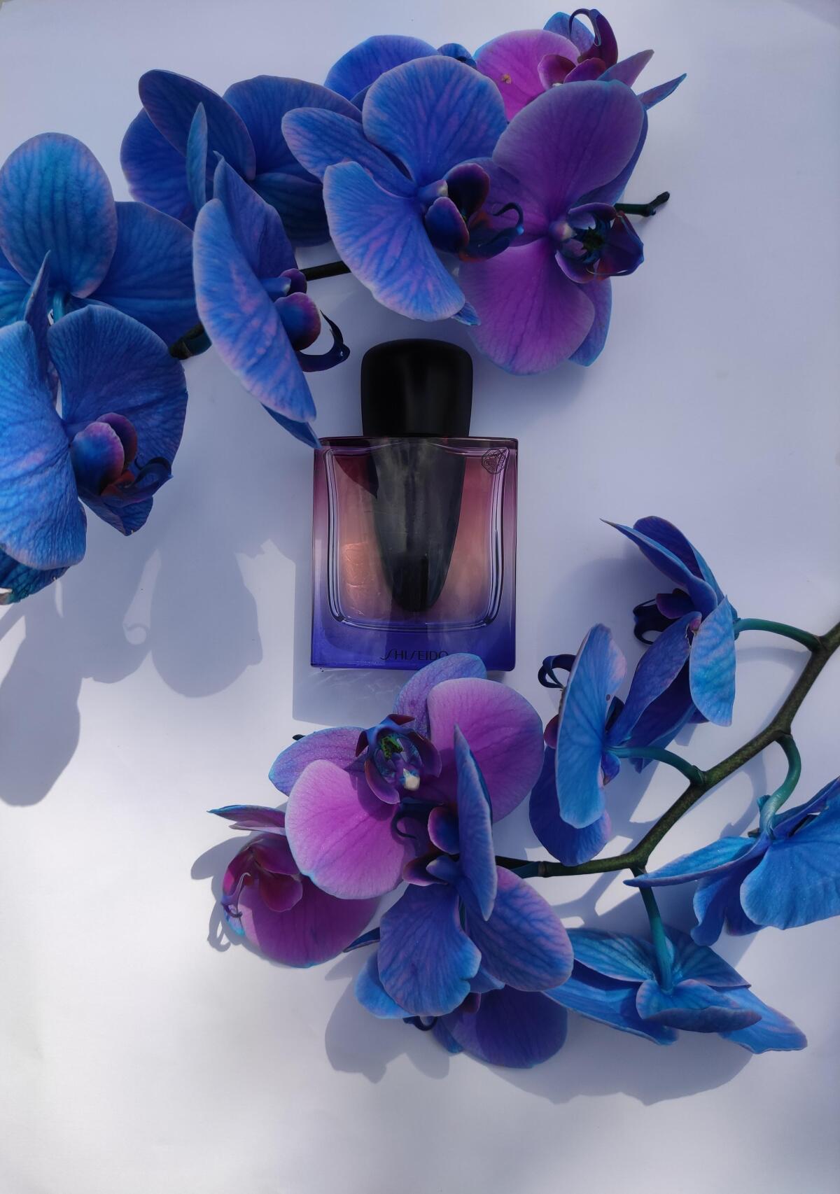 عطر ادکلن گینزا نایت شیسیدو - Ginza Night Shiseido - بررسی، قیمت و خرید