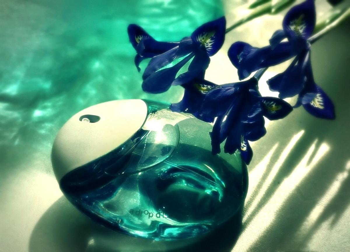 عطر ادکلن ا دُرُپ دیسی او دِ پارفوم فراش ایسه میاکه - A Drop d'Issey Eau de Parfum Fraiche Issey Miyake - بررسی، قیمت و خرید