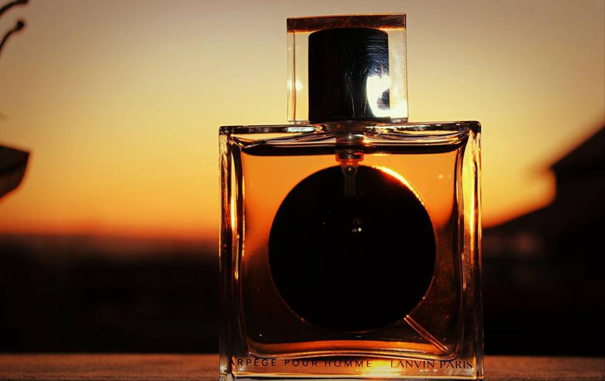 عطر ادکلن آرپج پور اوم لنوین - Arpege Pour Homme Lanvin - بررسی، قیمت و خرید