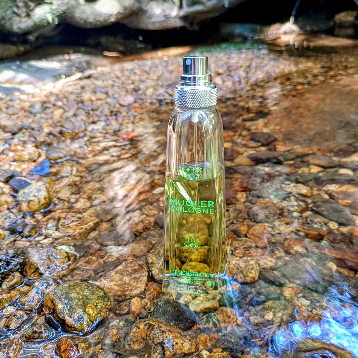 عطر ادکلن ماگلر کُلُنی موگلر - Mugler Cologne Mugler - بررسی، قیمت و خرید