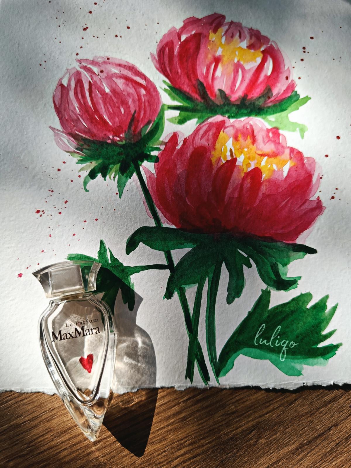 عطر ادکلن لو پرفیوم مَکس مارا - Le Parfum Max Mara - بررسی، قیمت و خرید