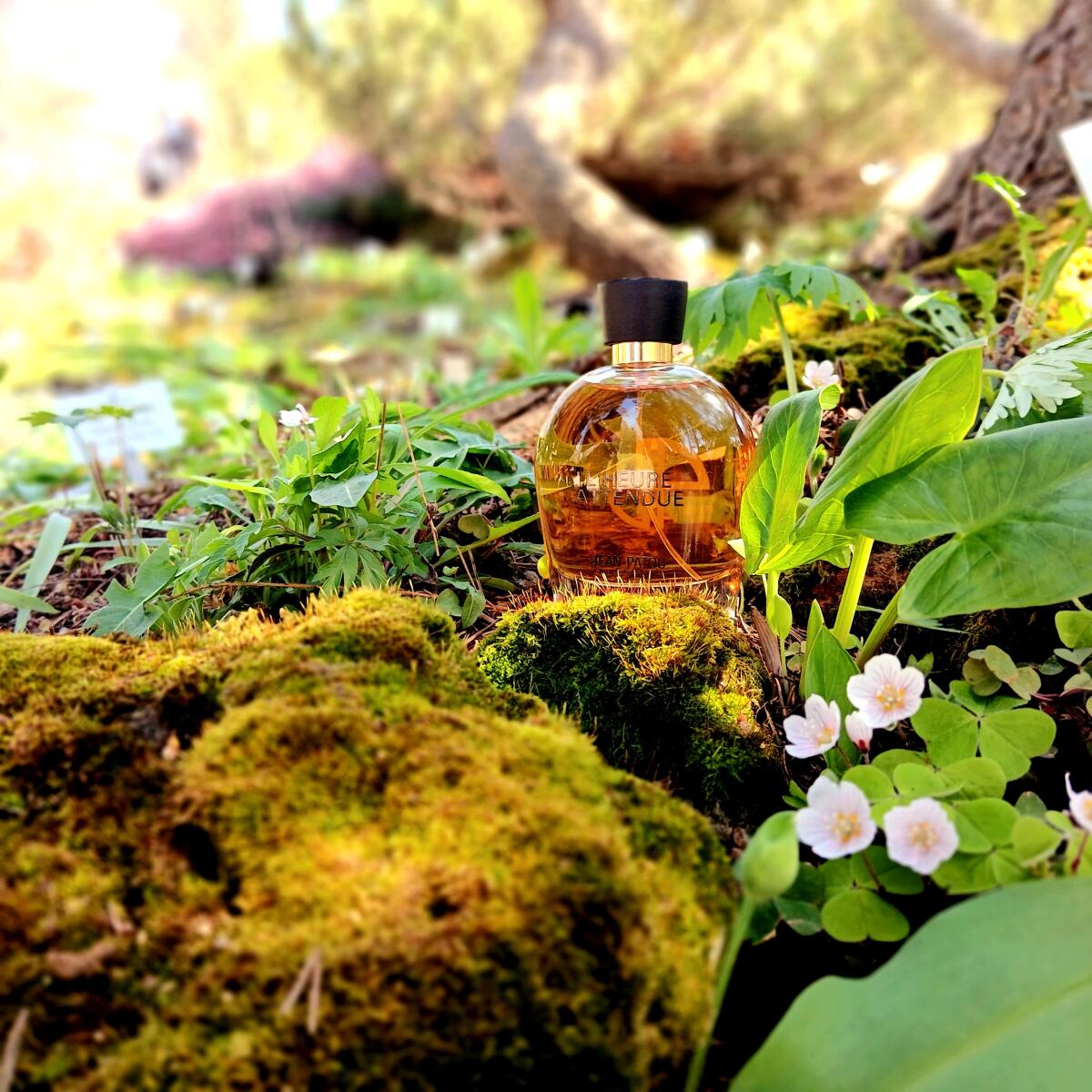 عطر ادکلن کالکشن هریتج لهر اتاندو ژان پاتو - Collection Heritage L'Heure Attendue Jean Patou - بررسی، قیمت و خرید