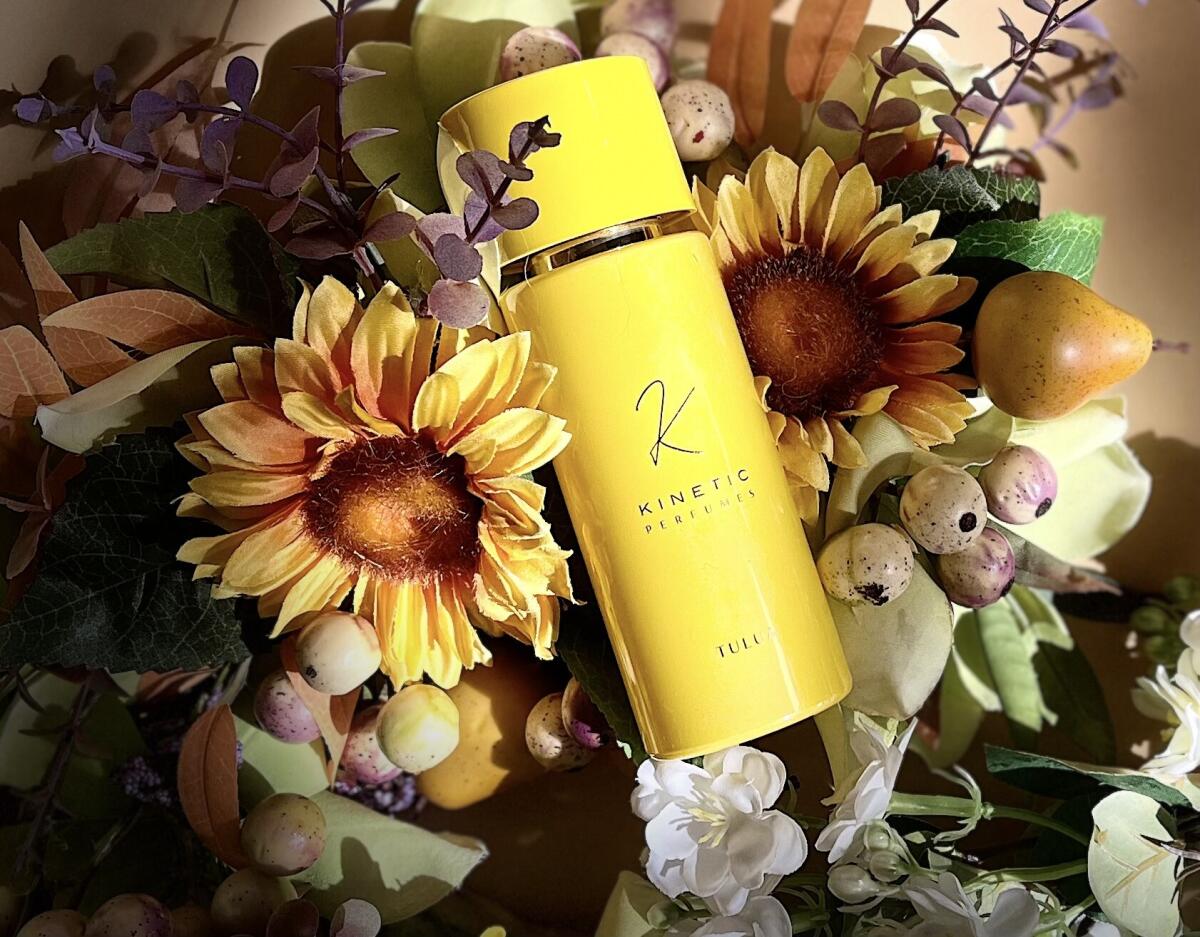 عطر ادکلن تولوآ لیمیتد ادیشن کینتیک پرفیومز - Tulua Limited Edition Kinetic Perfumes - بررسی، قیمت و خرید