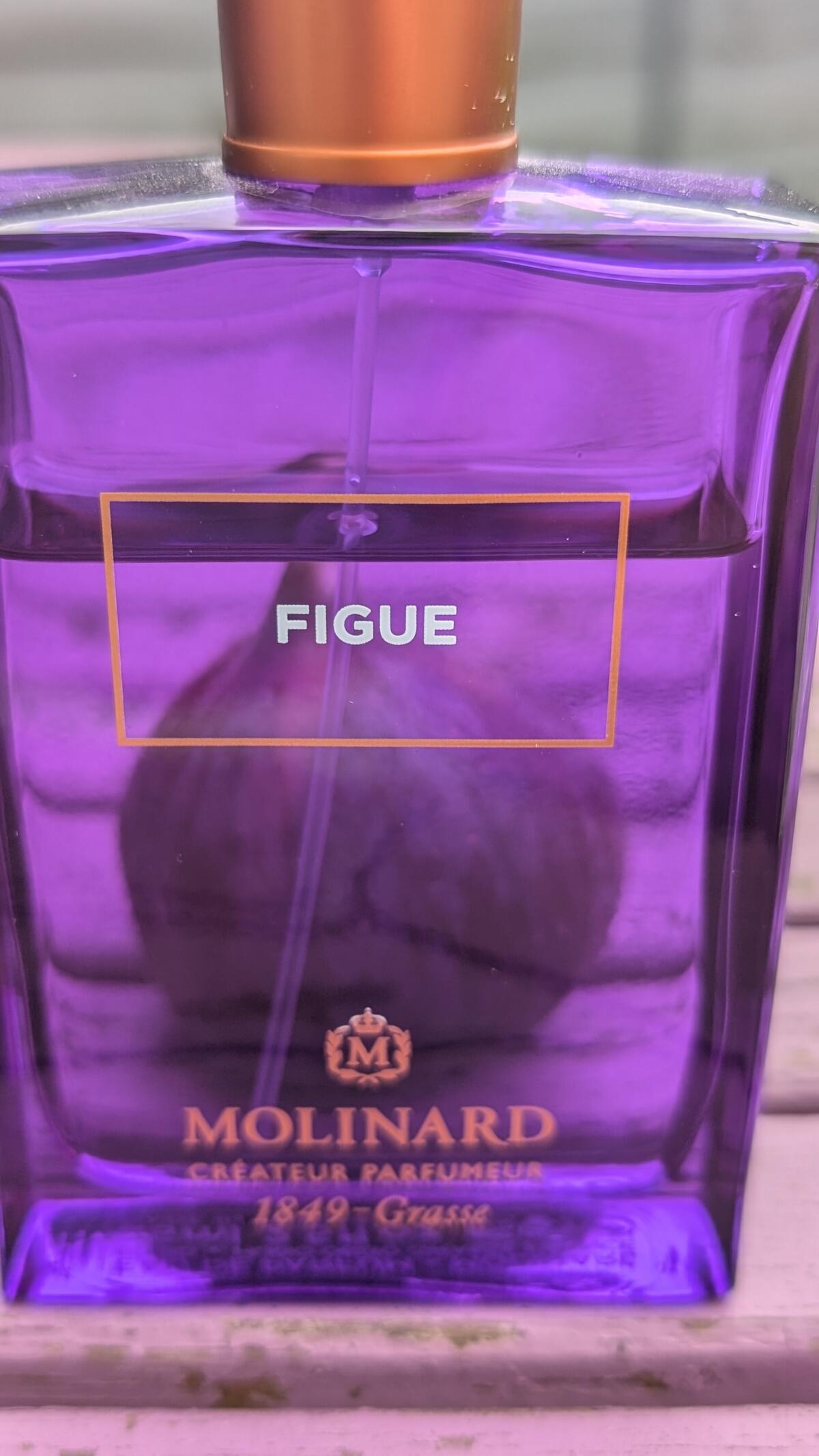 عطر ادکلن فیگو ادو پرفیوم مولینارد - Figue Eau de Parfum Molinard - بررسی، قیمت و خرید