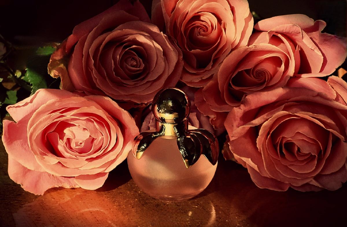 عطر ادکلن نینا لئو نینا ریچی - Nina L’Eau Nina Ricci - بررسی، قیمت و خرید