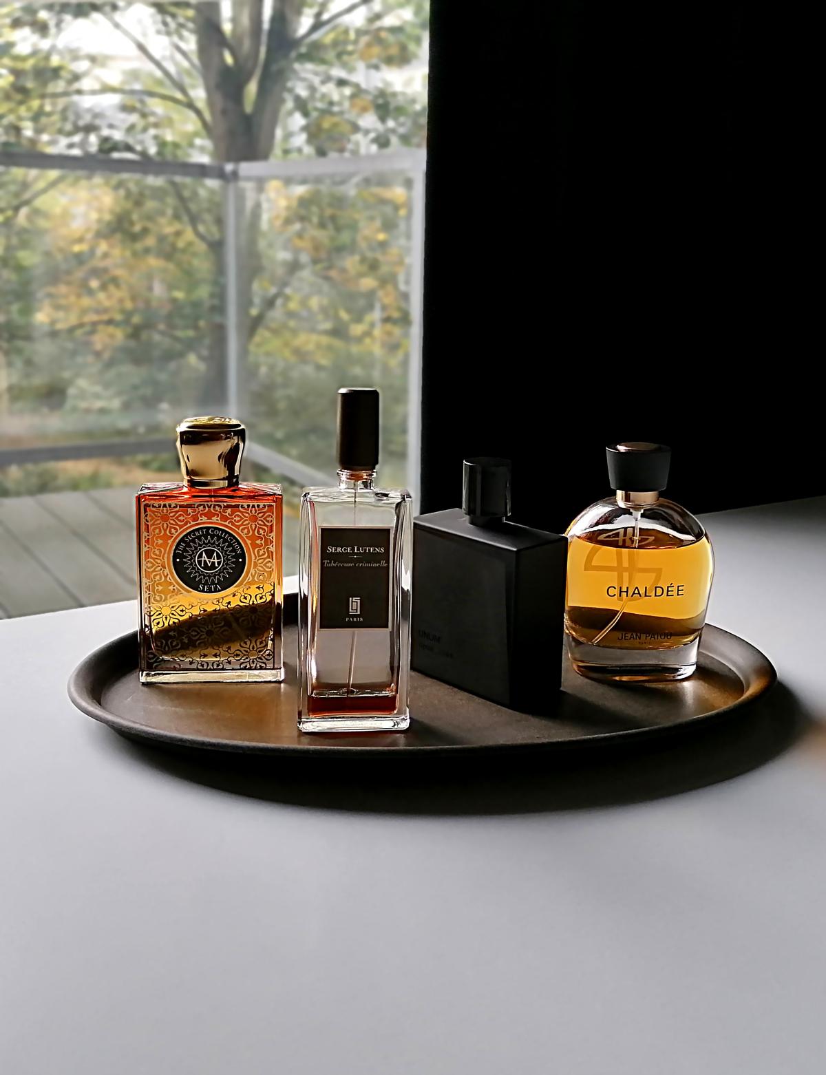 عطر ادکلن کالکشن هریتیج شالدی ژان پاتو - Collection Heritage Chaldée Jean Patou - بررسی، قیمت و خرید