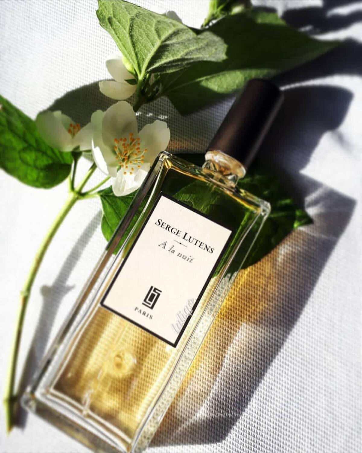 عطر ادکلن آ لَ نویی سرژ لوتنس - A La Nuit Serge Lutens - بررسی، قیمت و خرید