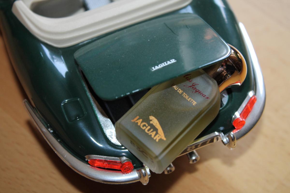 عطر ادکلن میس جگوار جگوار - Miss Jaguar Jaguar - بررسی، قیمت و خرید