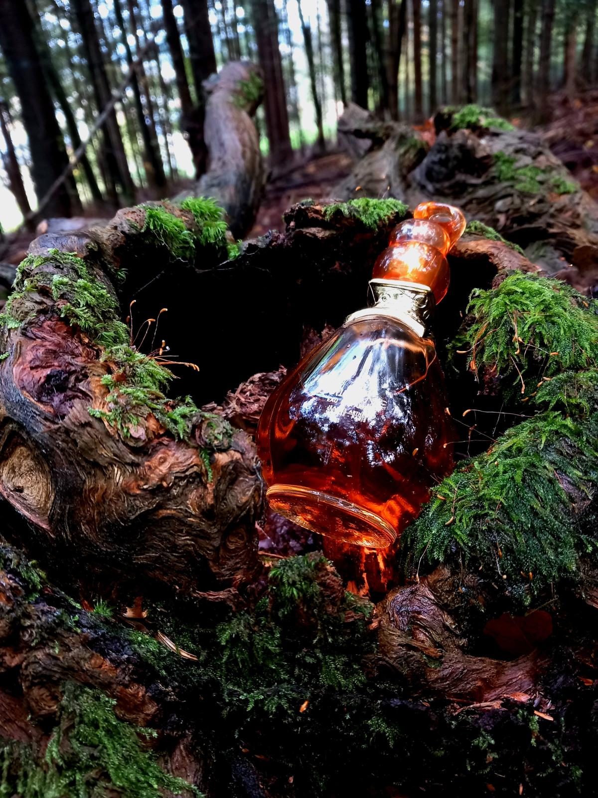 عطر ادکلن سلطان ژان آرته‌س - Sultane Jeanne Arthes - بررسی، قیمت و خرید