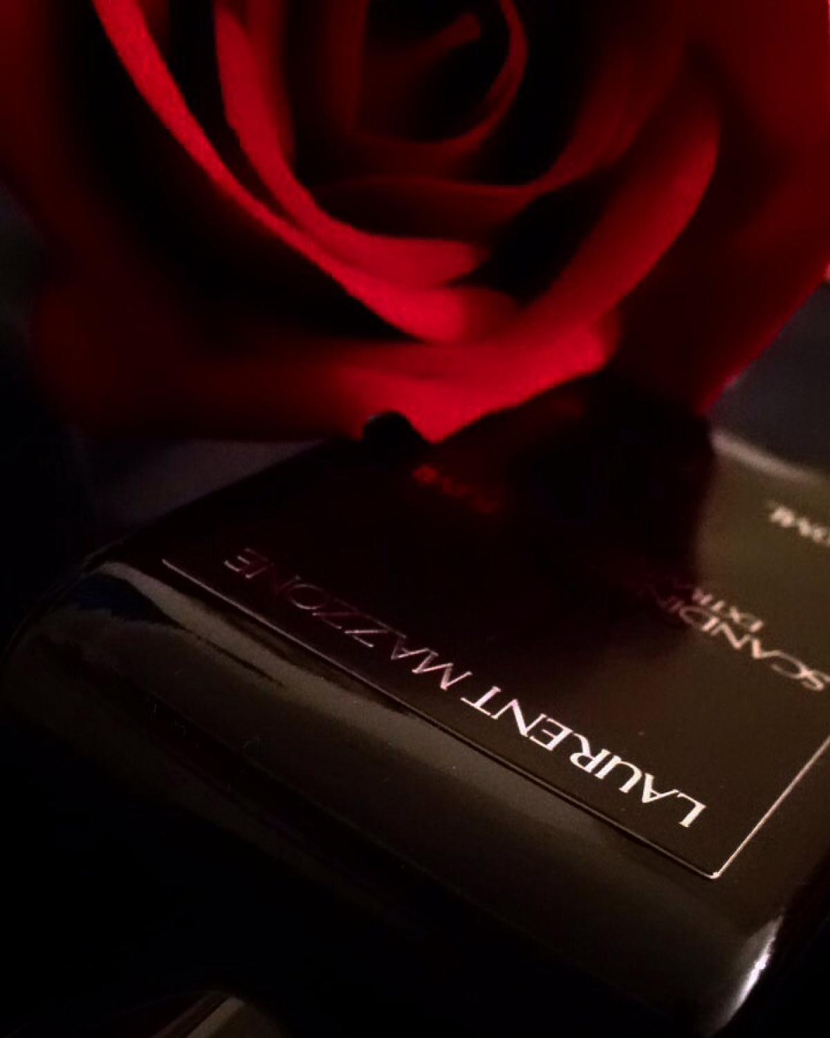 عطر ادکلن اسکاندیناویان کرایم لوران مازون پارفومز - Scandinavian Crime Laurent Mazzone Parfums - بررسی، قیمت و خرید