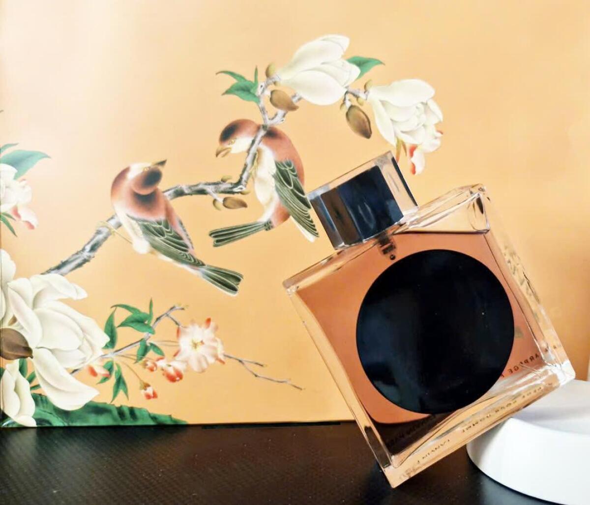 عطر ادکلن آرپج پور اوم لنوین - Arpege Pour Homme Lanvin - بررسی، قیمت و خرید