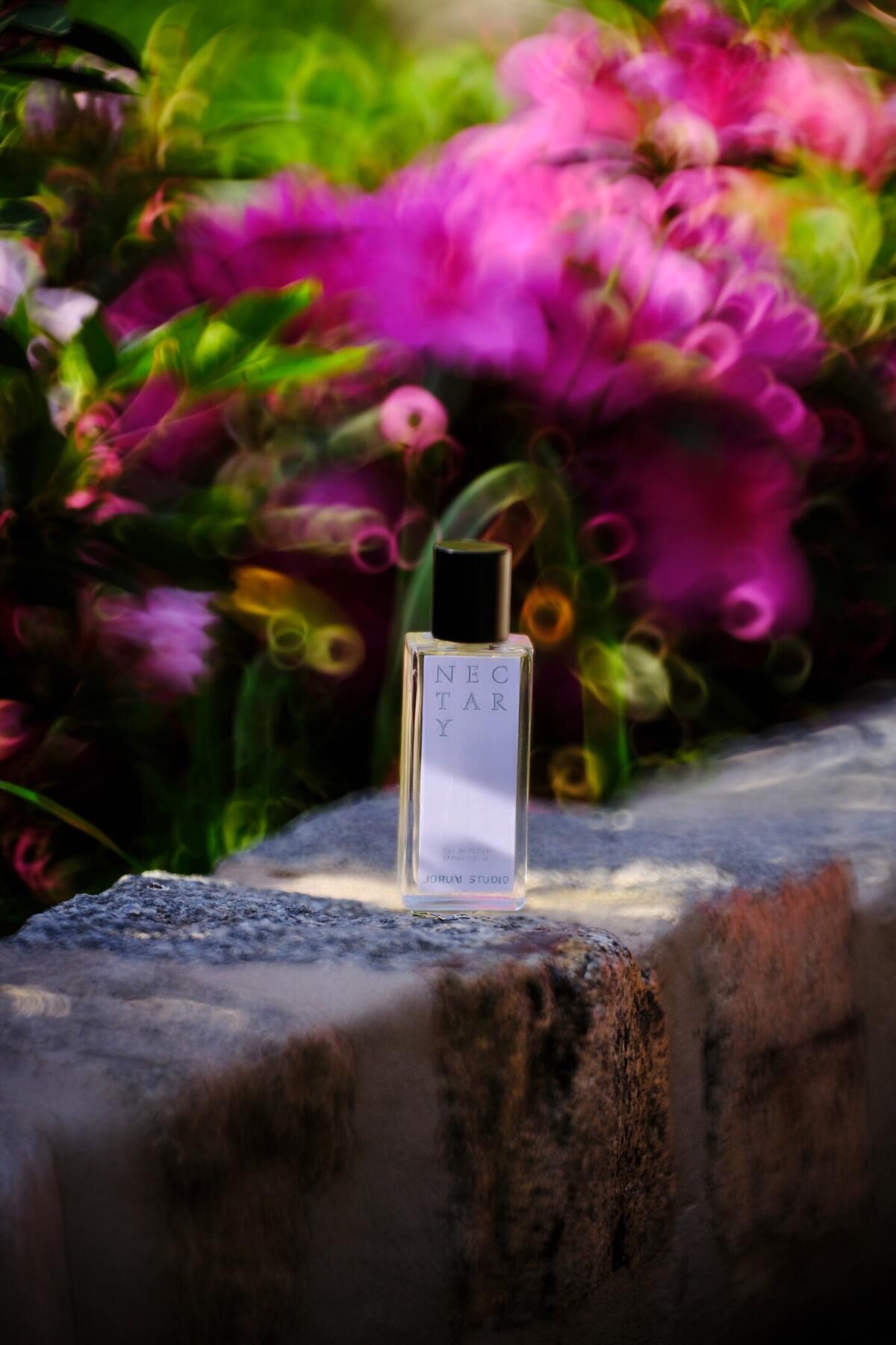 عطر ادکلن رُز هایلند جروم استودیو - Rose Highland Jorum Studio - بررسی، قیمت و خرید