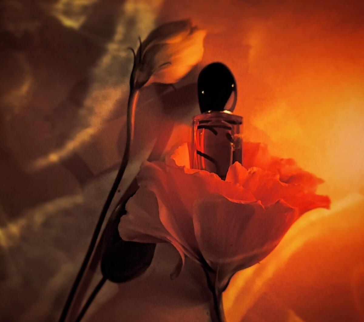 عطر ادکلن سی پارفوم جورجیو آرمانی - Sì Parfum Giorgio Armani - بررسی، قیمت و خرید