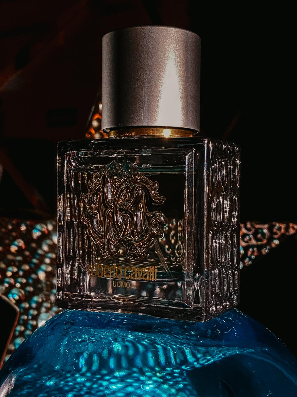 عطر ادکلن روبerto کاوالی اومو سیلور اسنس روبرتو کاوالی - Roberto Cavalli Uomo Silver Essence Roberto Cavalli - بررسی، قیمت و خرید