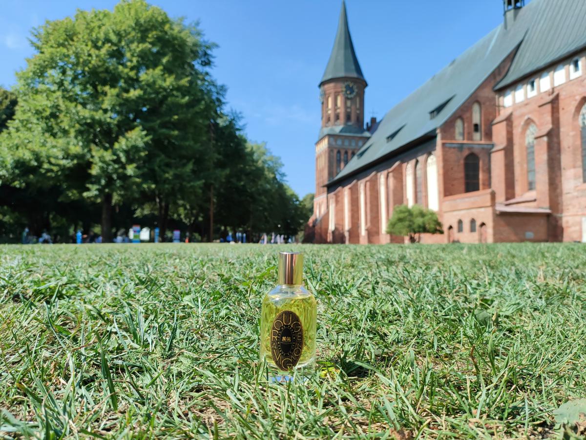 عطر ادکلن روژ آوینیون فایدون - Rouge Avignon Phaedon - بررسی، قیمت و خرید