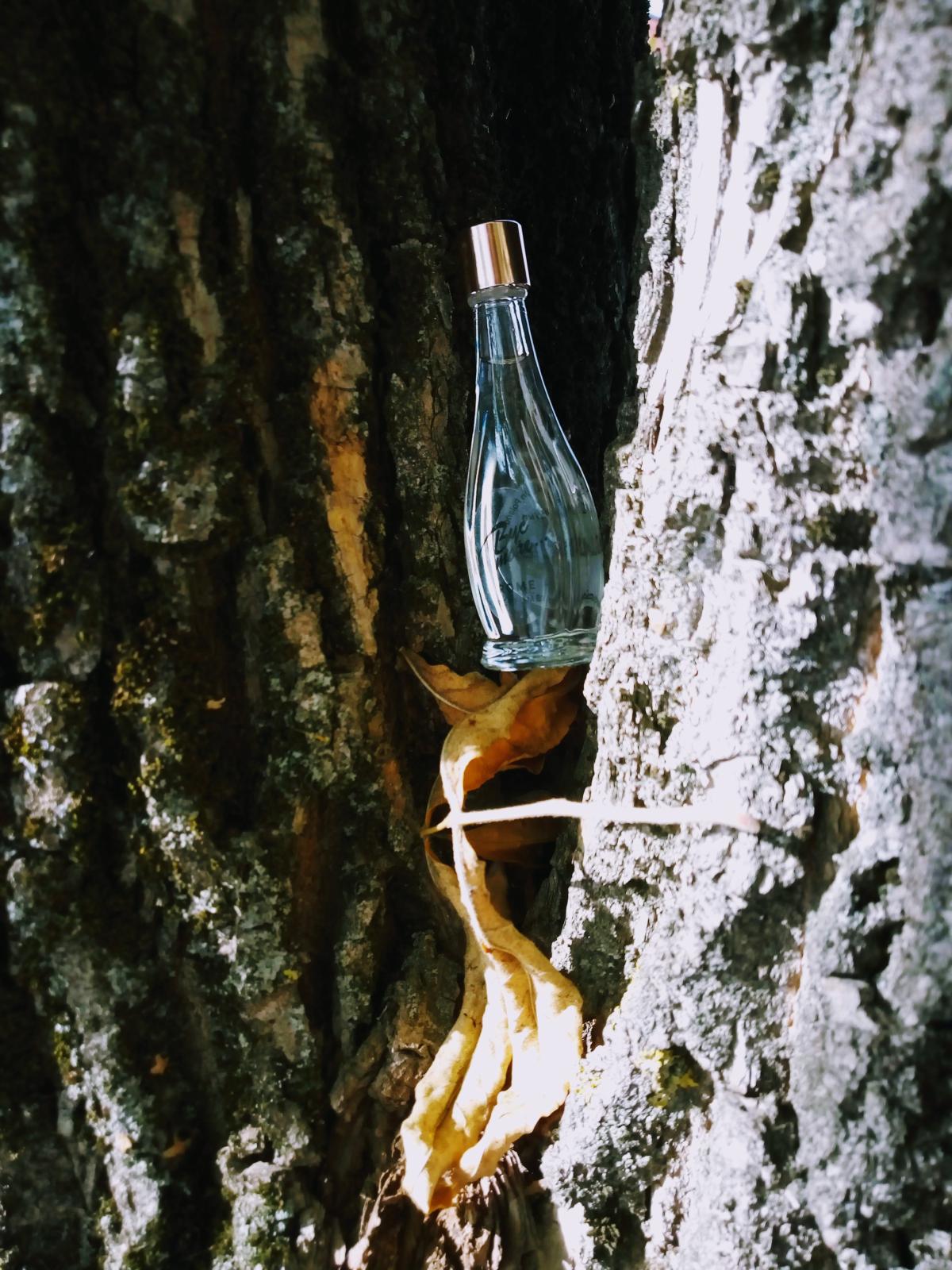 عطر ادکلن بایک موزه...رم میرکولوم - Byc Moze...Rome Miraculum - بررسی، قیمت و خرید