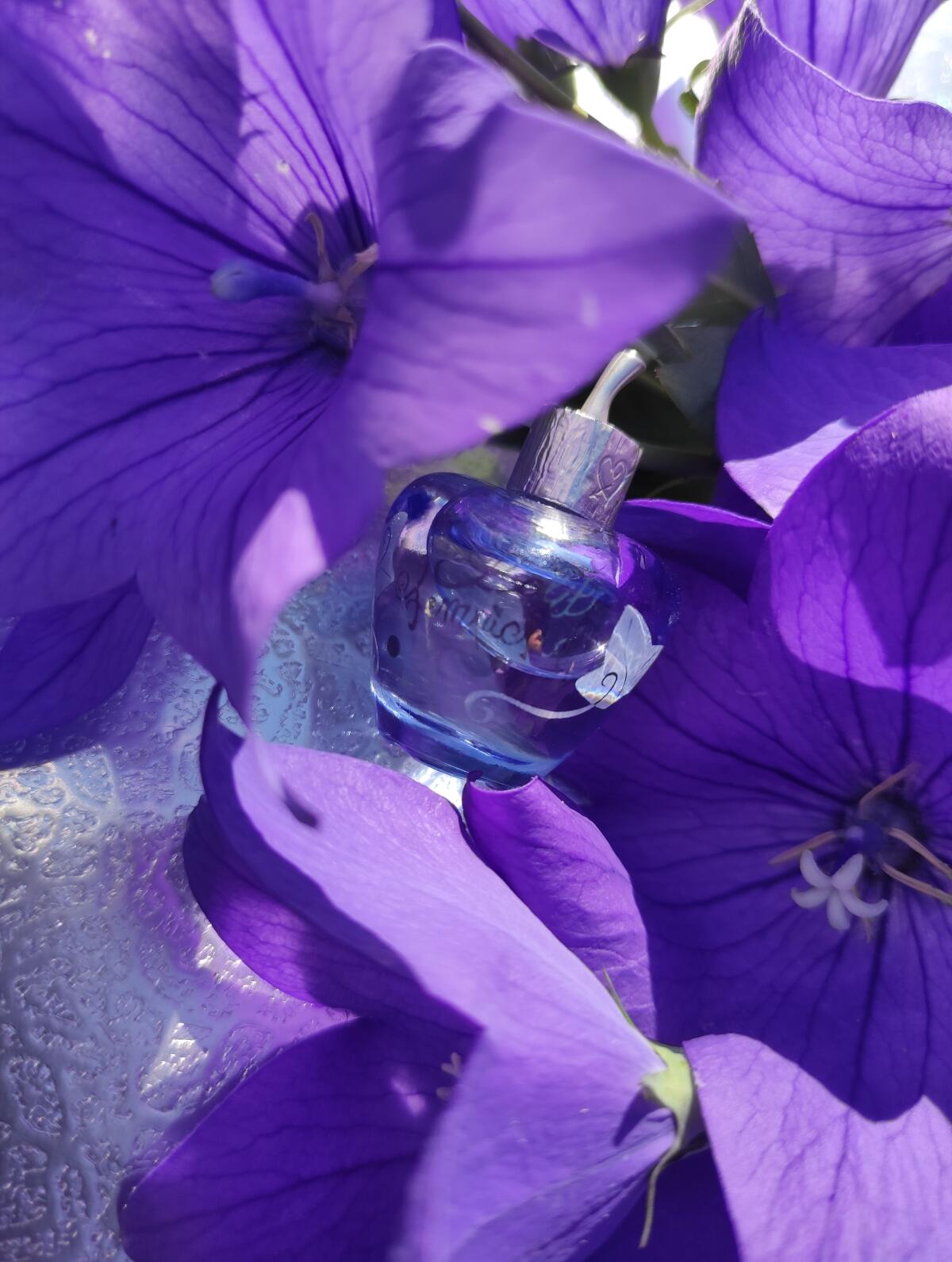 عطر ادکلن لولیتا لمپیکا ادو تویلت لولیتا لمپیکا - Lolita Lempicka Eau de Toilette Lolita Lempicka - بررسی، قیمت و خرید