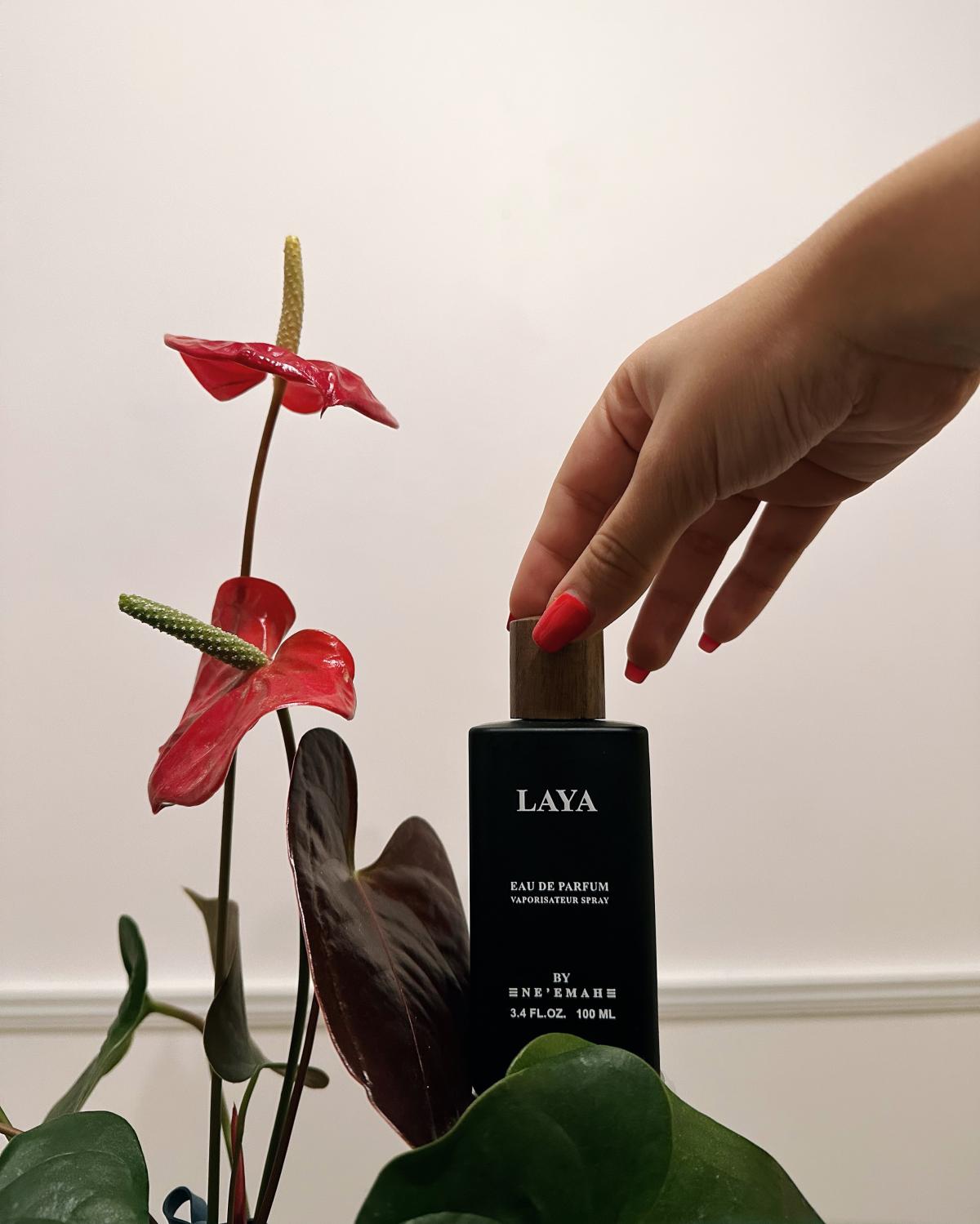 عطر ادکلن لایا نیما فر فراگرنس اود - Laya Ne'emah For Fragrance & Oudh - بررسی، قیمت و خرید
