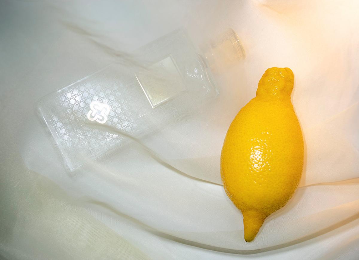 عطر ادکلن برگاموتو دی کالابریا پریس مانته کارلو - Bergamotto di Calabria Perris Monte Carlo - بررسی، قیمت و خرید