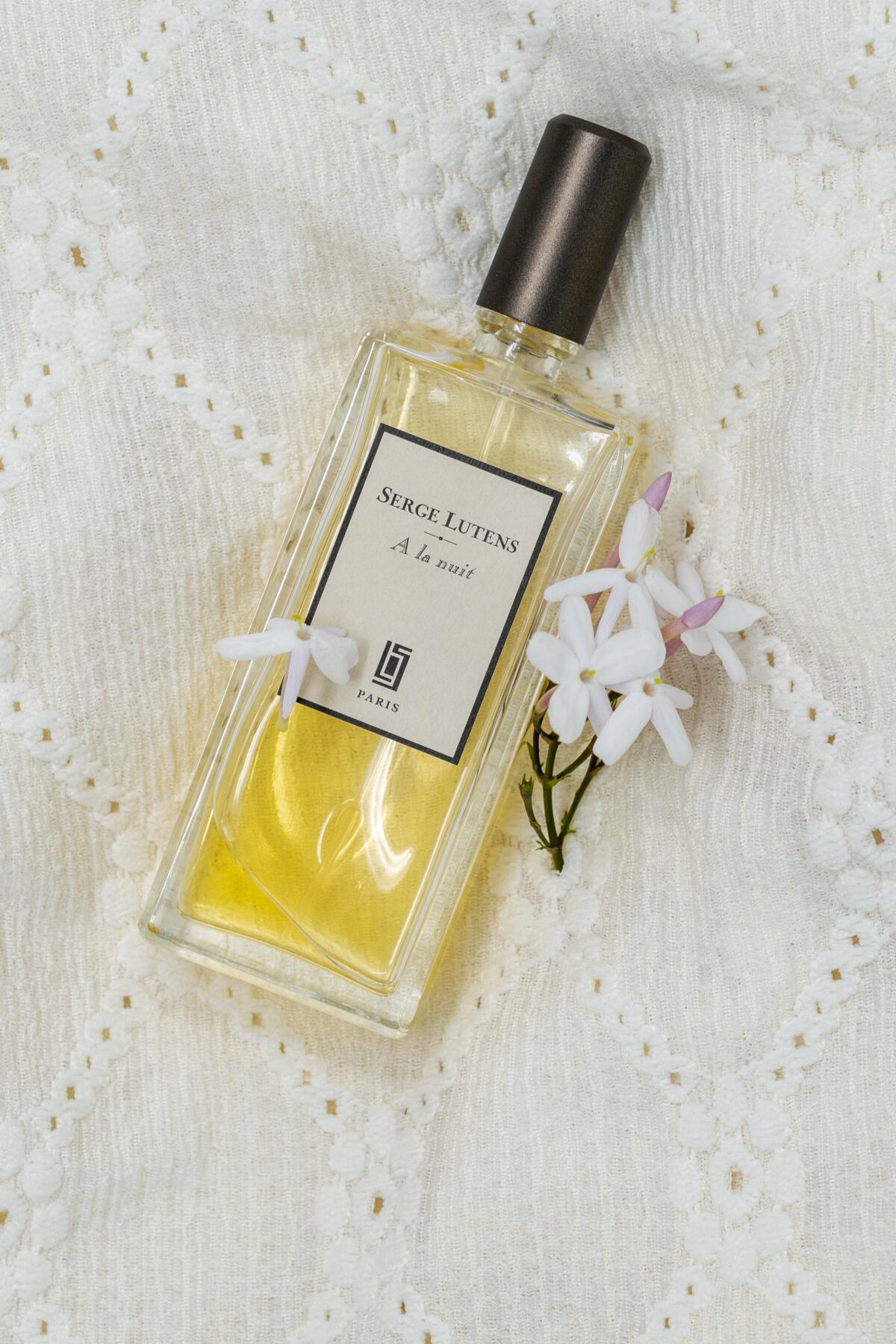 عطر ادکلن آ لَ نویی سرژ لوتنس - A La Nuit Serge Lutens - بررسی، قیمت و خرید